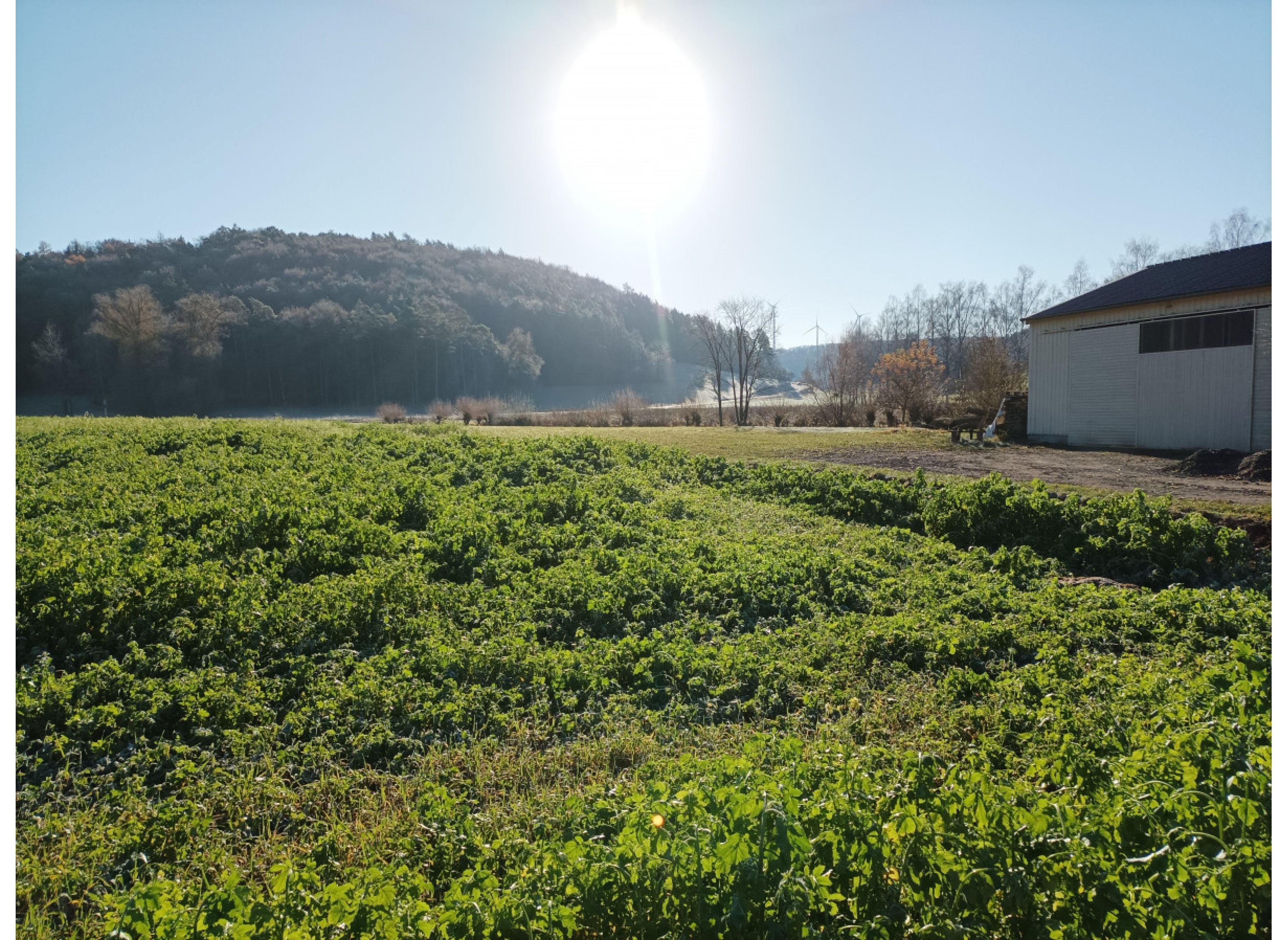 Am Aubauch #1 — 露营车营地 in Bad Kissingen