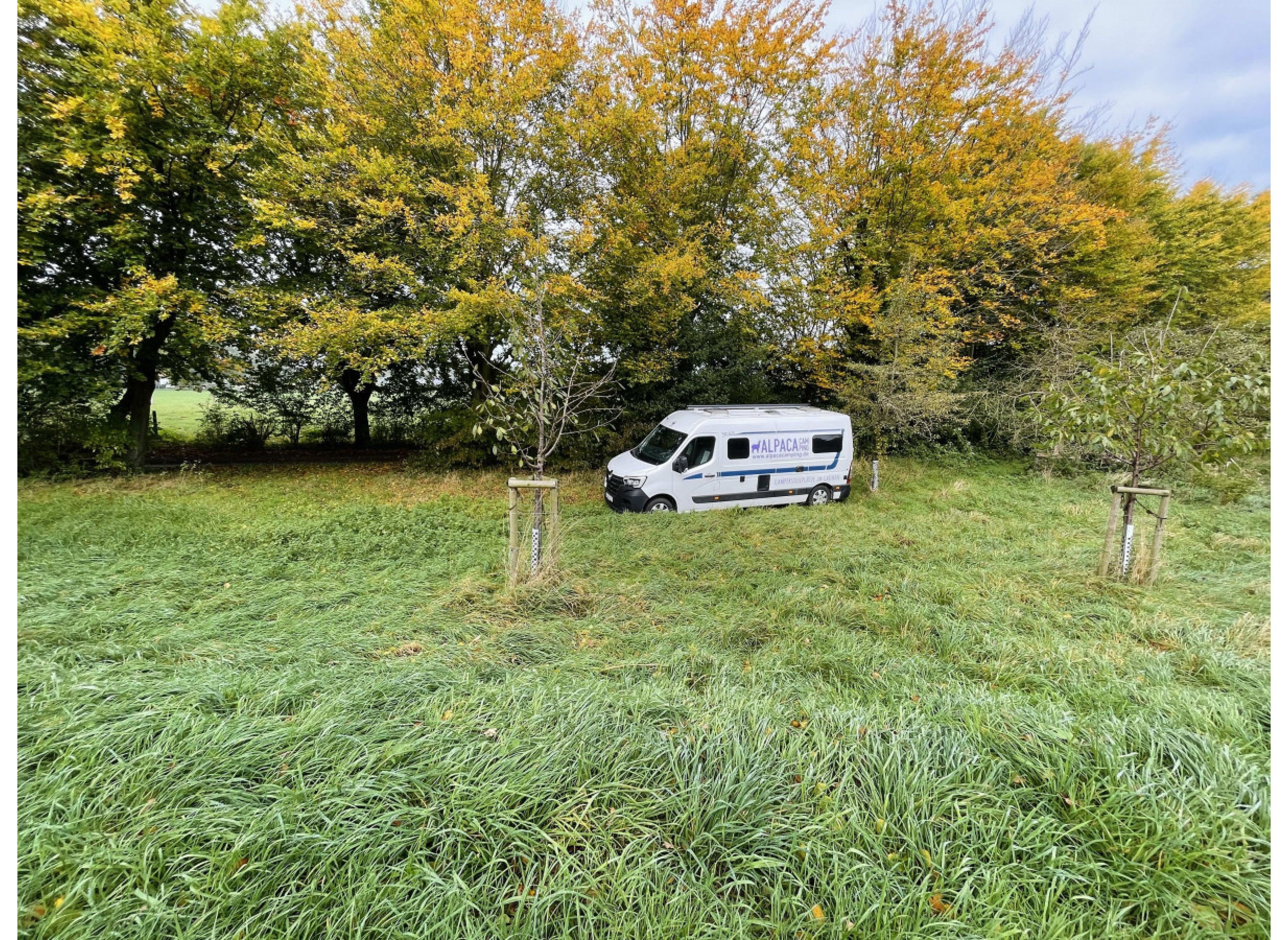 Obstwiese an der Issel #2 — Camperplaats in Hamminkeln