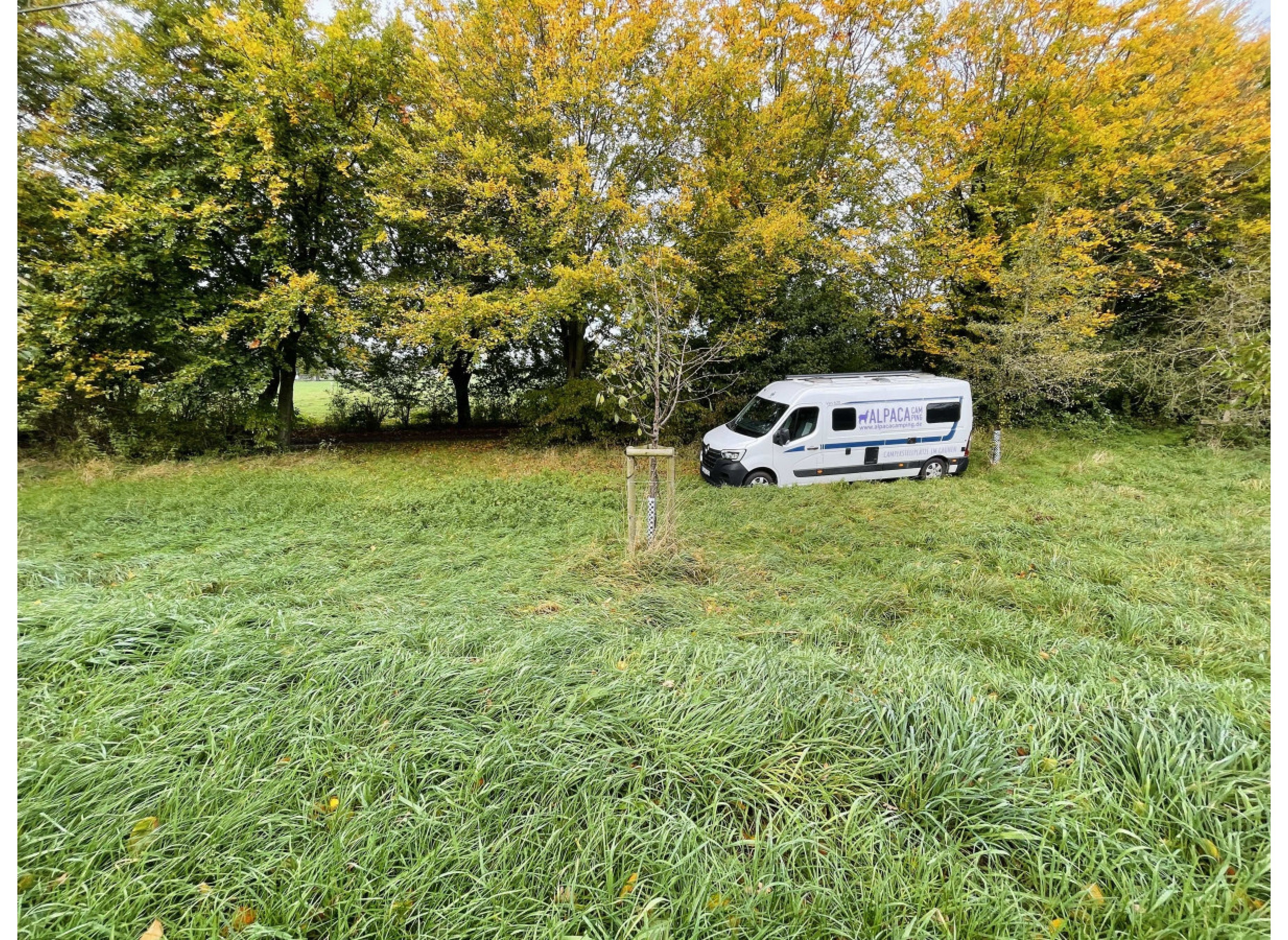 Obstwiese an der Issel #2 — Ställplats in Hamminkeln