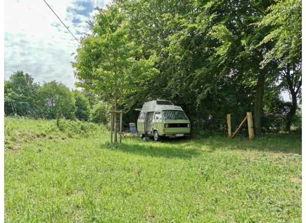 Obstwiese an der Issel #2 — Photo 2