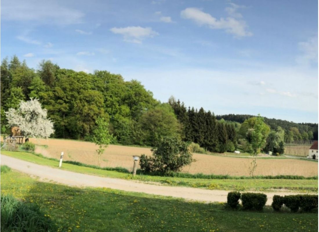 Ruhe und Natur Pur "Beim Schlagenhaufer" Stellplatz Wiese 1 — Bobilplass in Mainburg