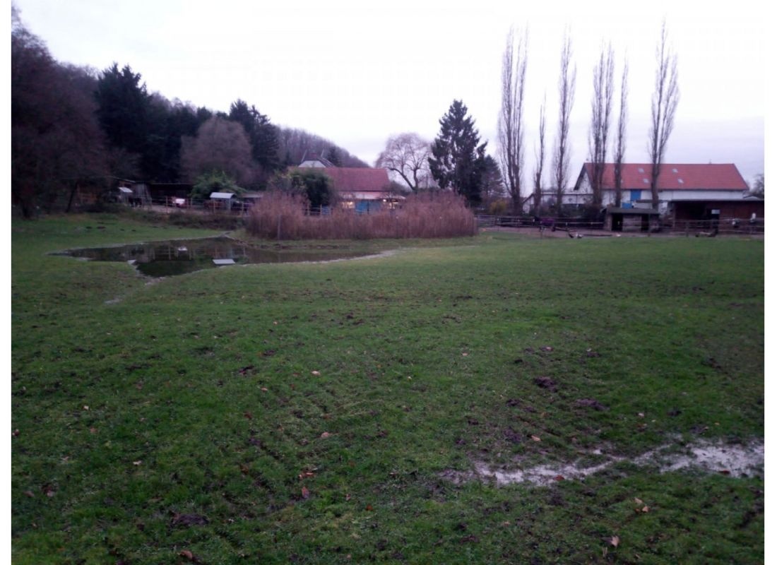 Zeltplatz in Stadt-Land-Fluss — Aire camping car in Düsseldorf