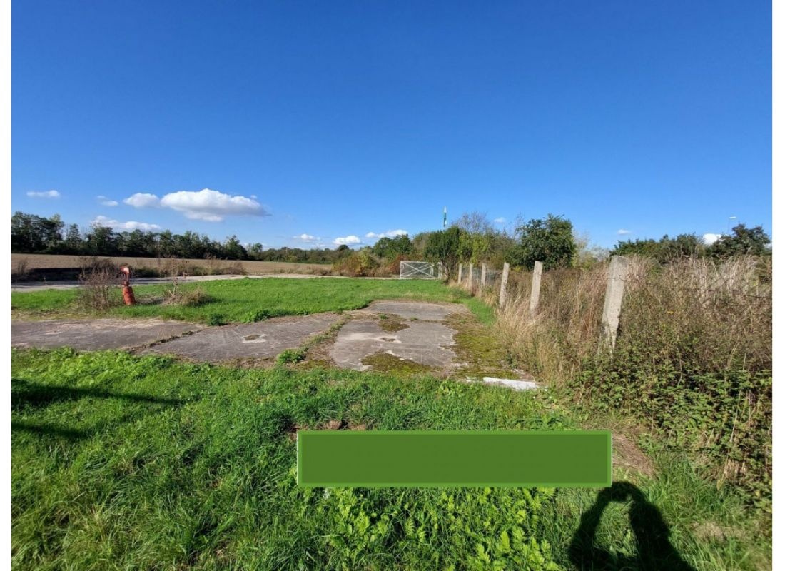 Naturnaher Stell- und Zeltplatz — Sp. parking dla kamperów in Rackwitz