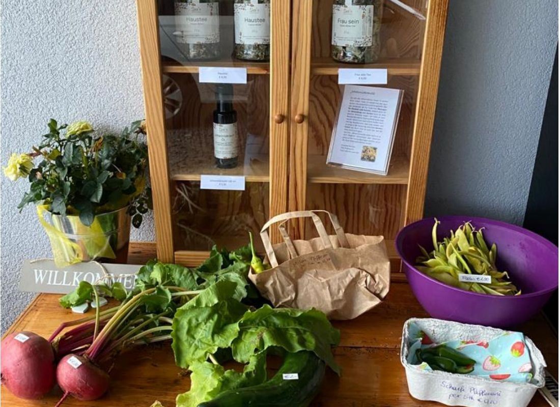 Campen im Grünen #1 — Stellplatz in St. Oswald bei Freistadt