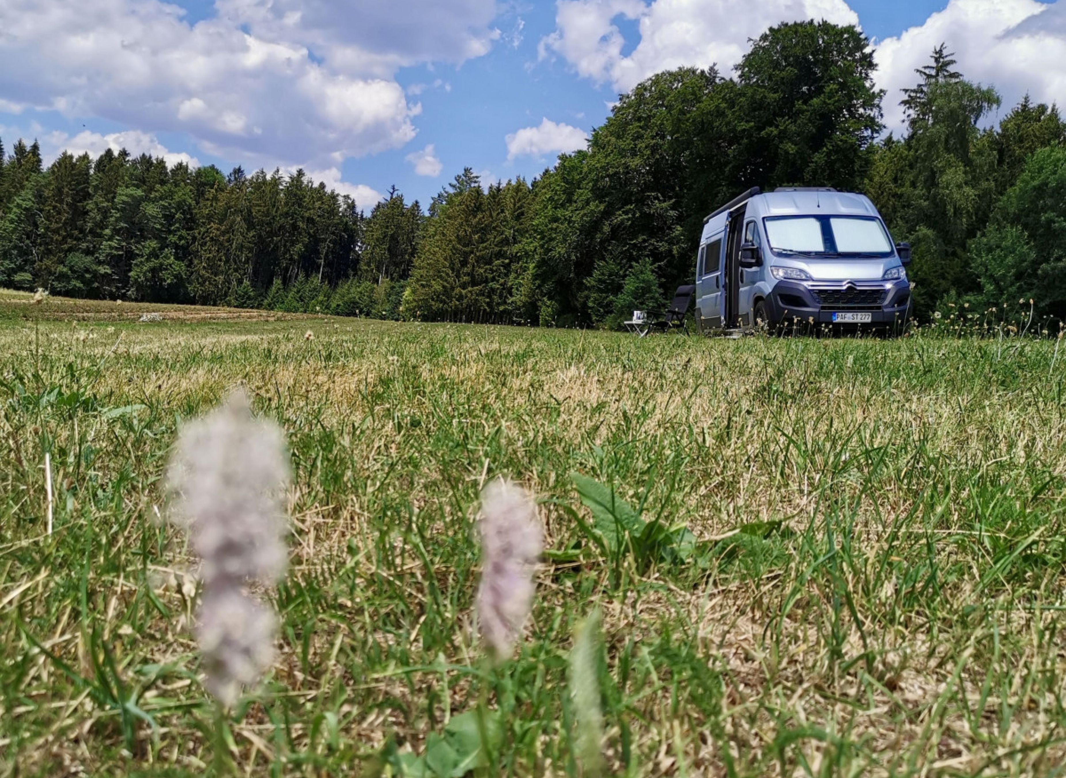 Vogelleite #2 — Campervan Site in Breitenbrunn