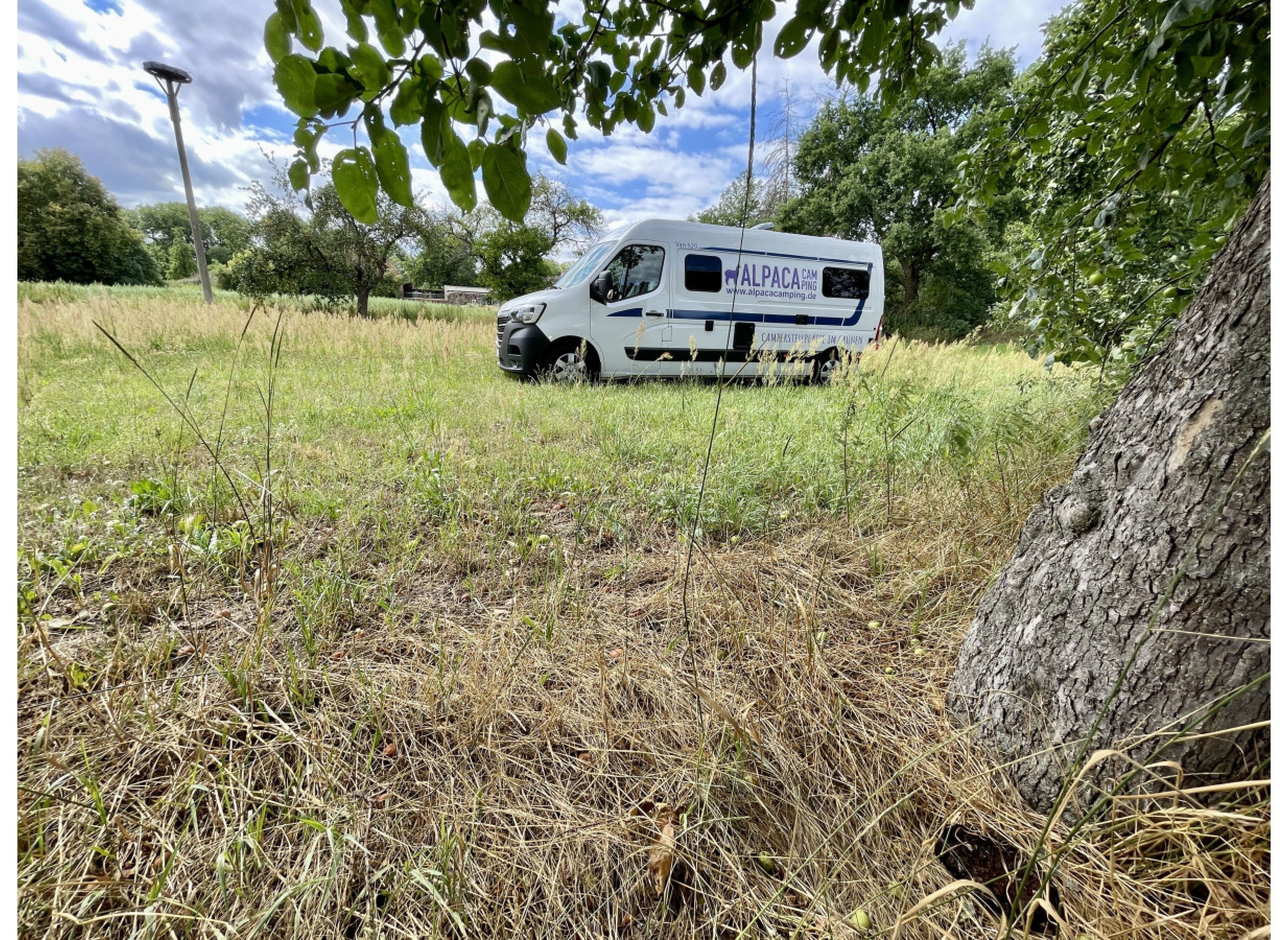 Streuobstwiese am Felde — Stellplatz in Rietz-Neuendorf