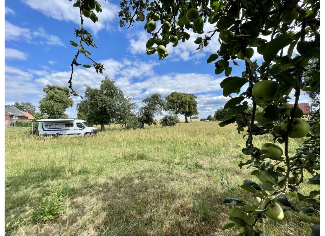 Streuobstwiese am Felde — Bobilplass in Rietz-Neuendorf