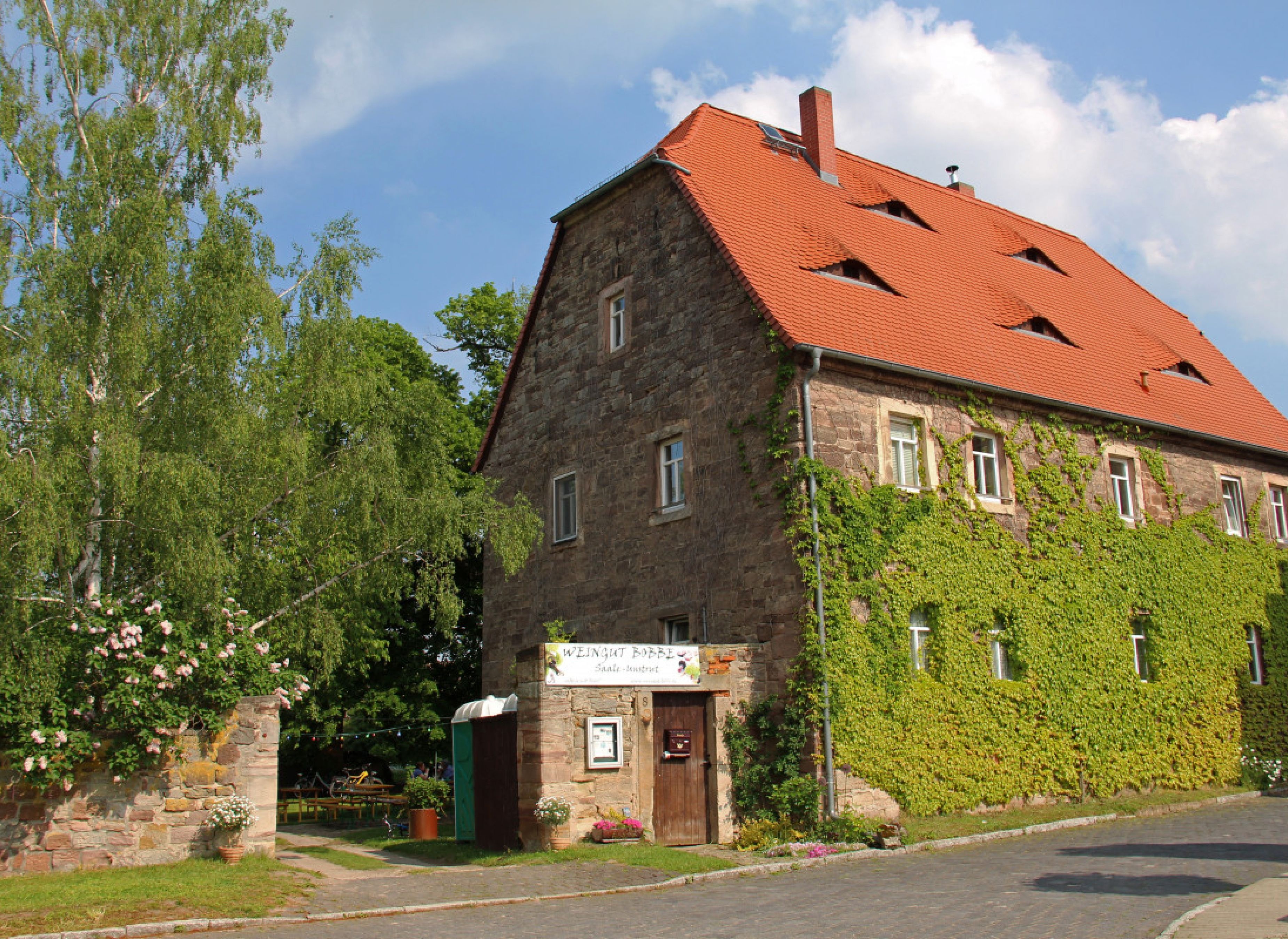 Stellplatz im grünen Hof des Weingutes — Winery in Nebra