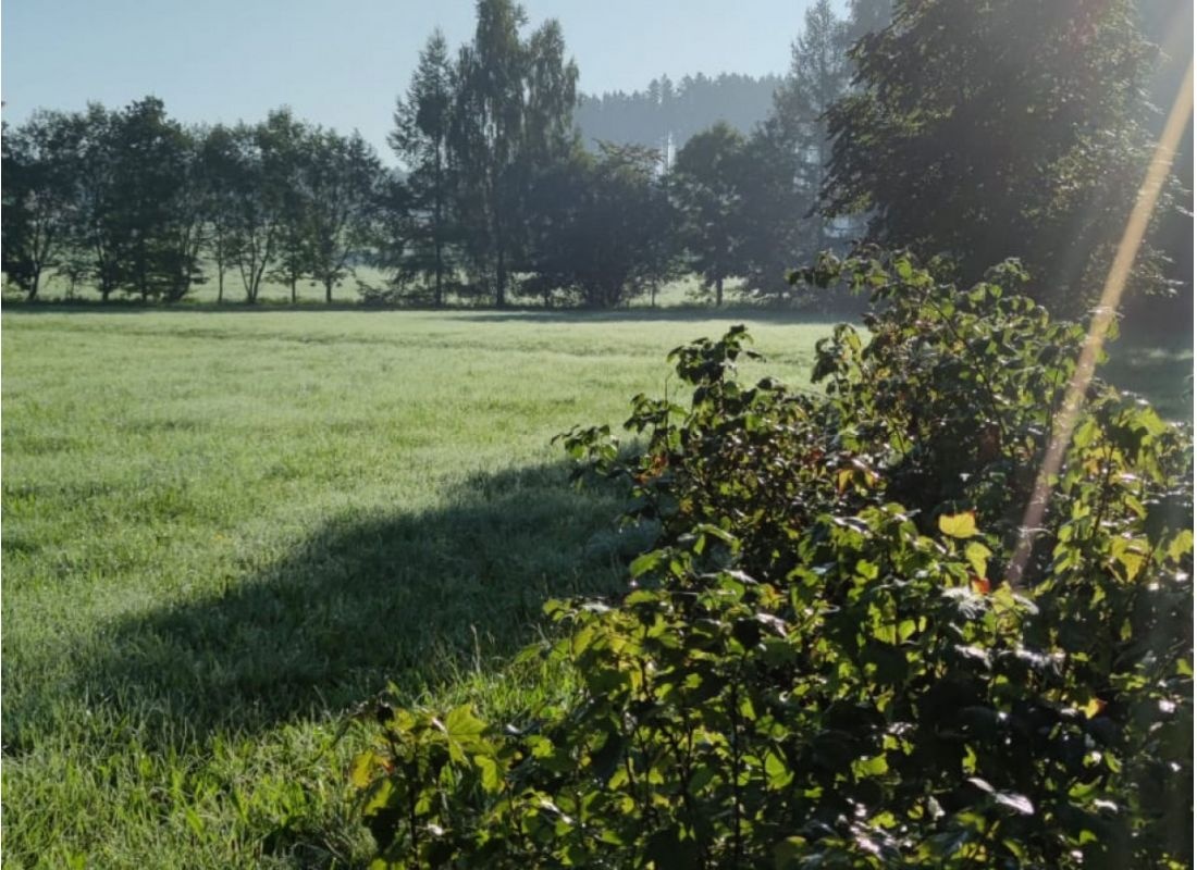 Einzelstellplatz mitten im Grünen — Sítio para autocaravanas in Westerheim