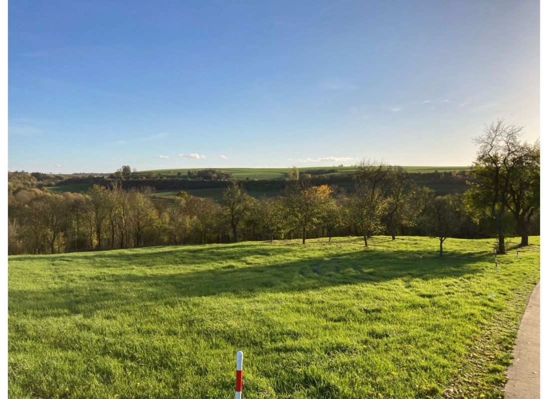 Stellplatz mitten im Grünen auf/neben einer Streuobstwiese #2 — 露营车营地 in Obernbreit
