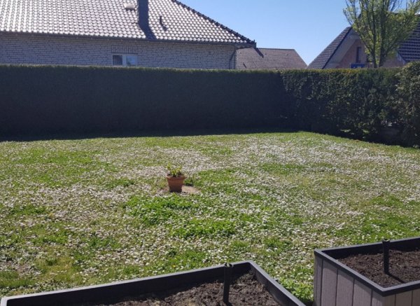 Auszeit in der Nähe der Eifel — Photo 2