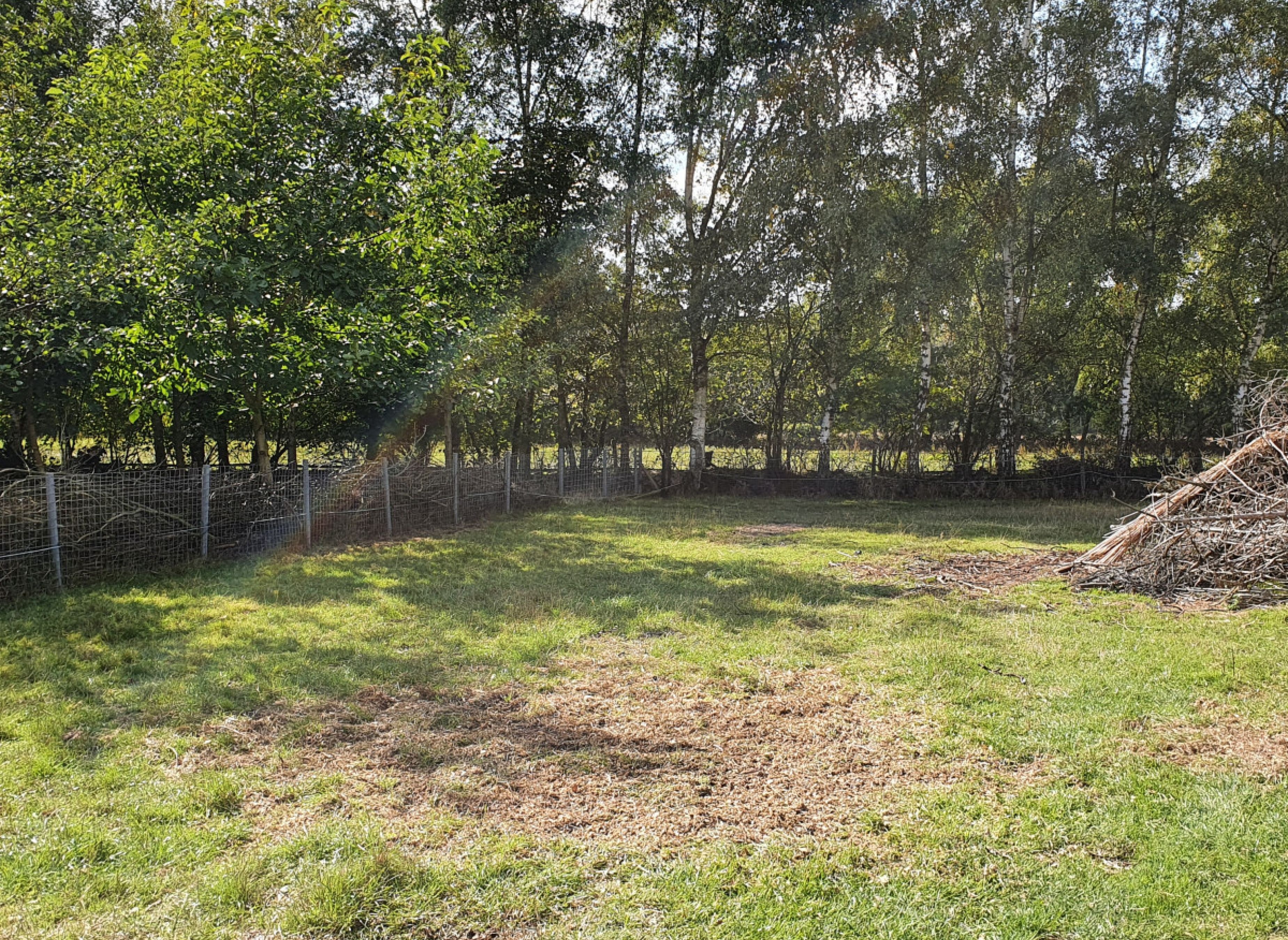 Entspannung und Ruhe zwischen Schafen — Area Autocaravanas in Vechta