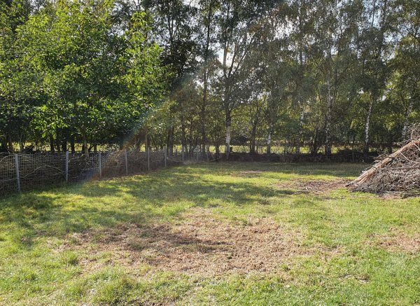 Entspannung und Ruhe zwischen Schafen