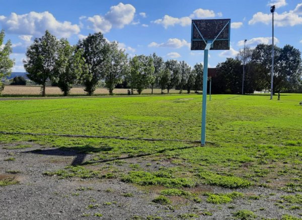 Wiesen, Felder und Weitblick — Photo 2