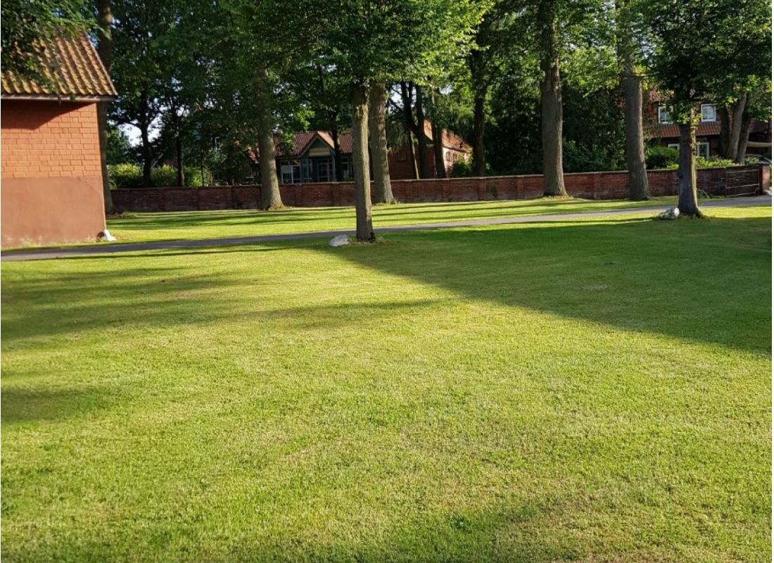 Unter den Linden — Area Autocaravanas in Jelmstorf