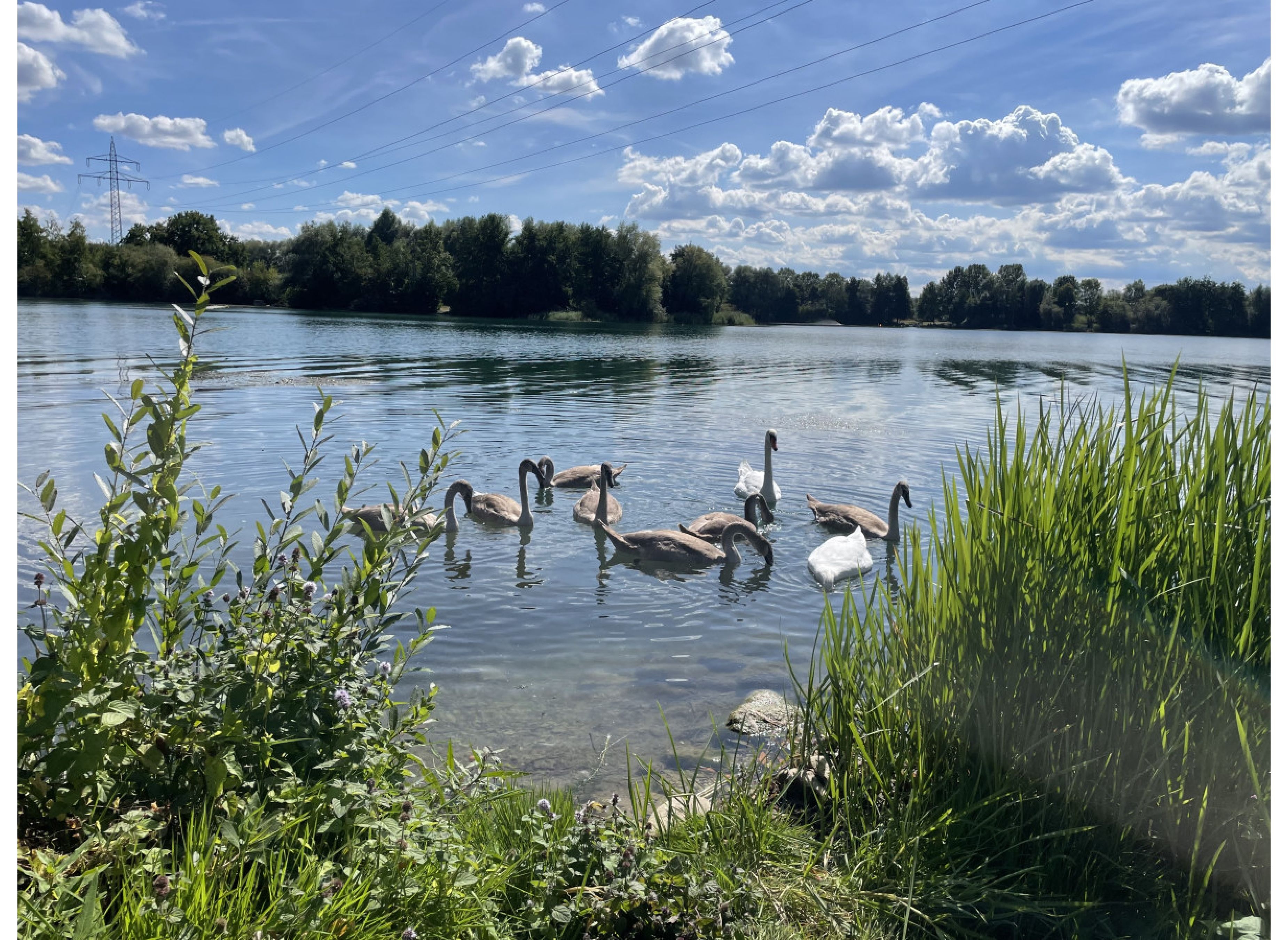 Wiese mit Seeblick #2 — Camperplaats in Paderborn
