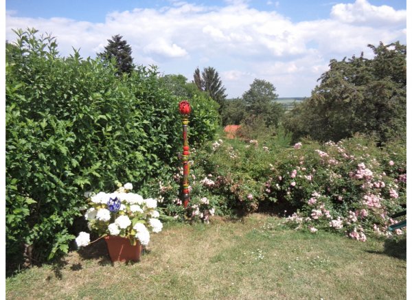 Wunderschöne Auszeit mitten im Weingebirge, direkt neben dem Weingut — Foto 3