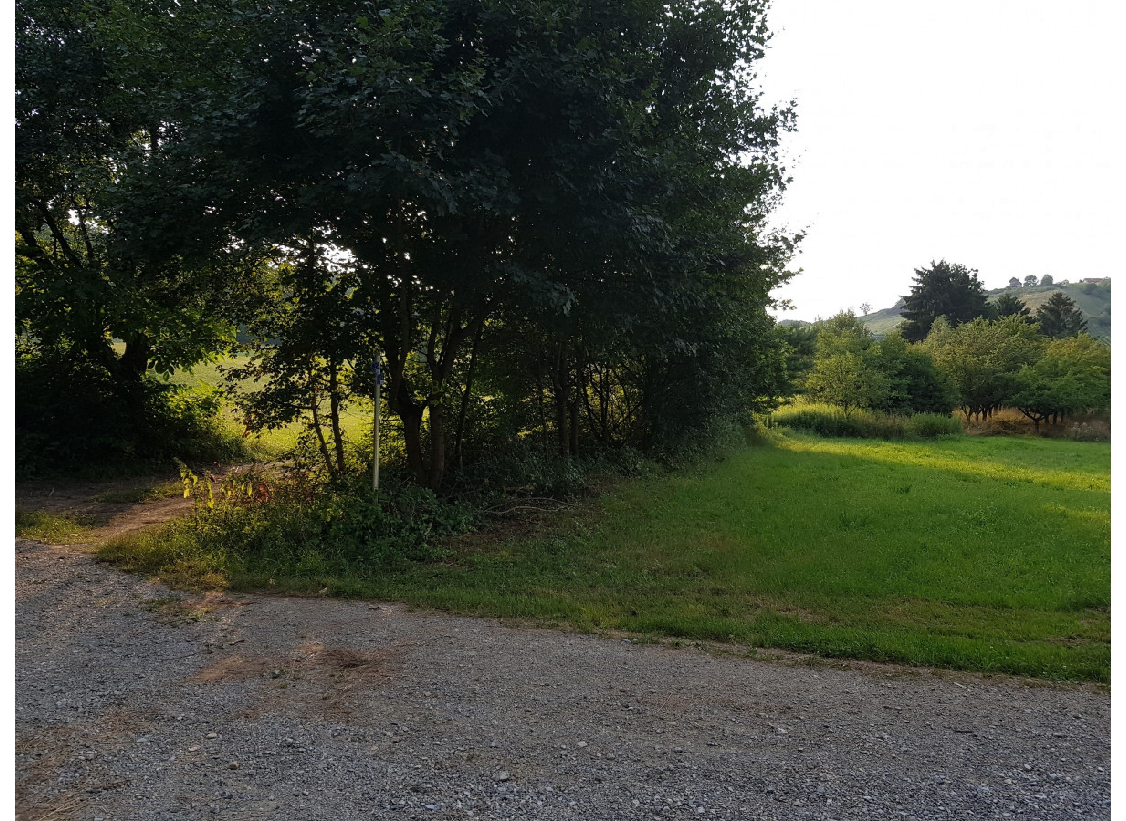 Am Waldrand — Stellplatz in Eisenberg/P