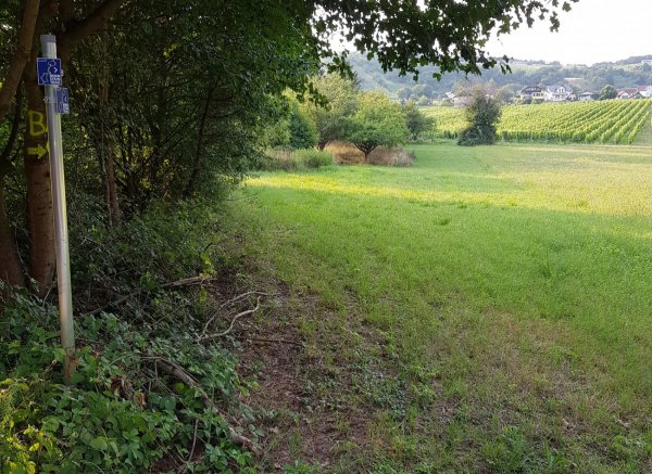 Am Waldrand — Photo 2