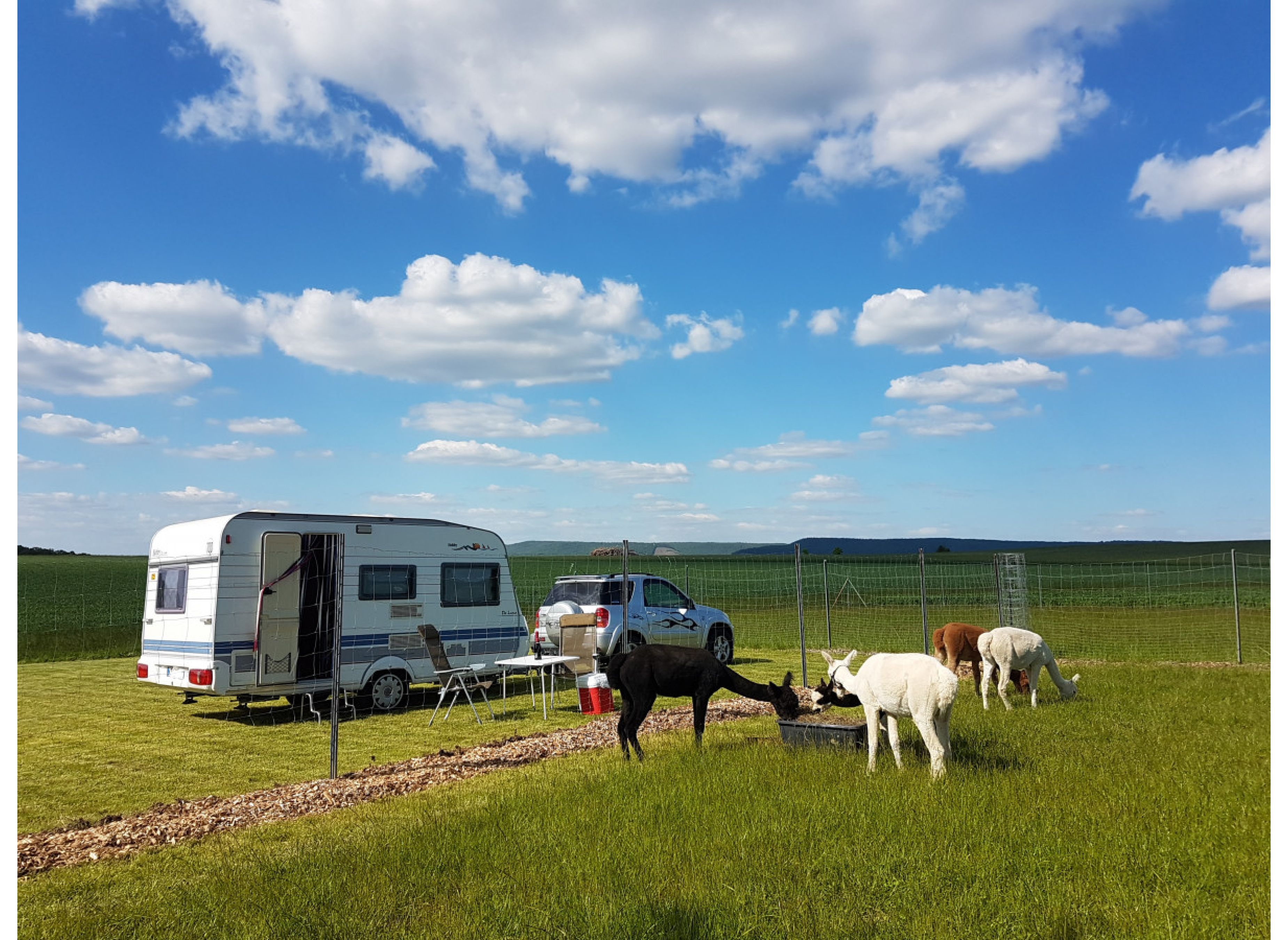 Direkt bei den "Kirchschönbacher Alpakas" — Karavan Sitesi in Prichsenstadt