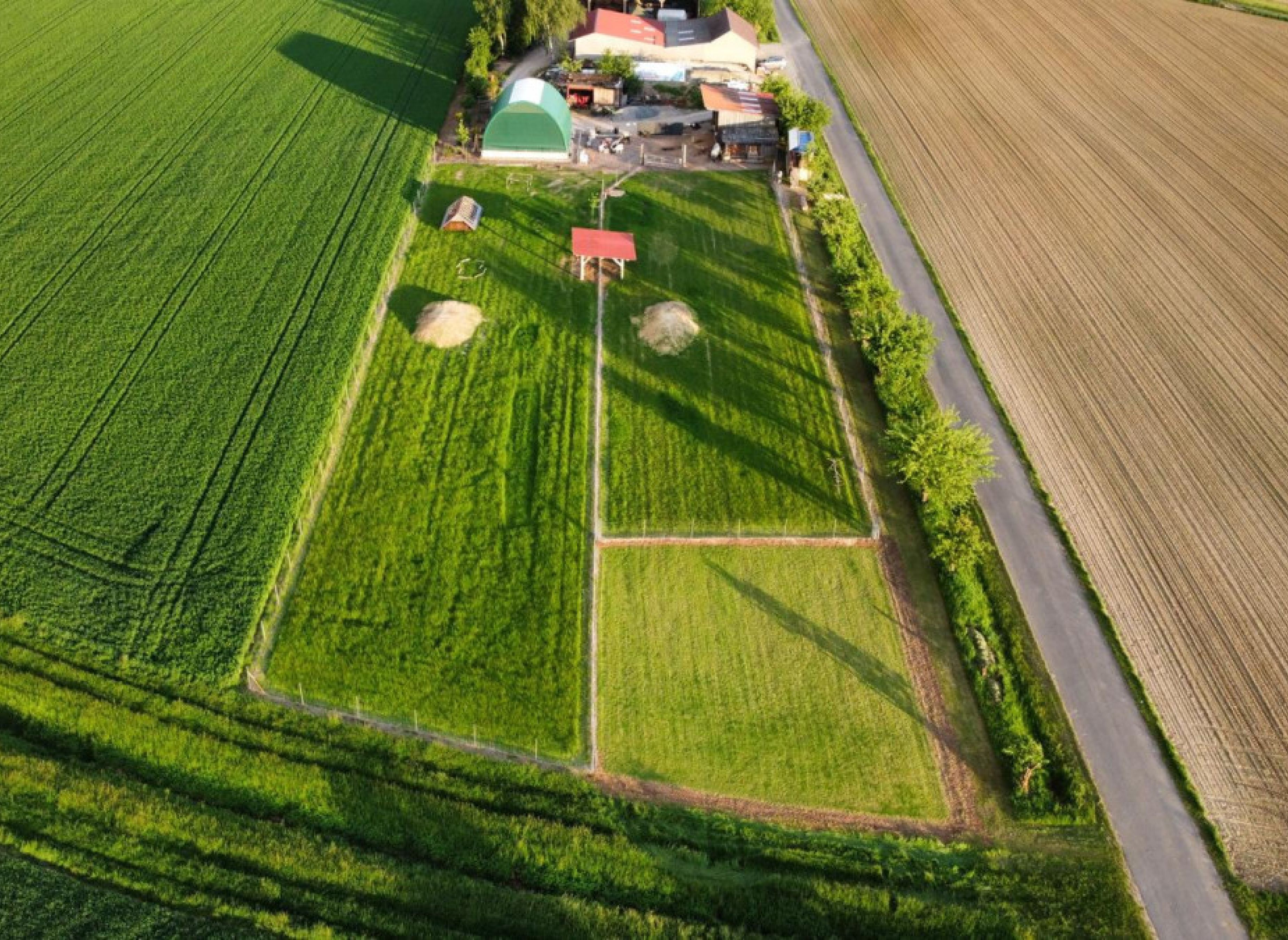 Direkt bei den "Kirchschönbacher Alpakas" — Campervan Site in Prichsenstadt