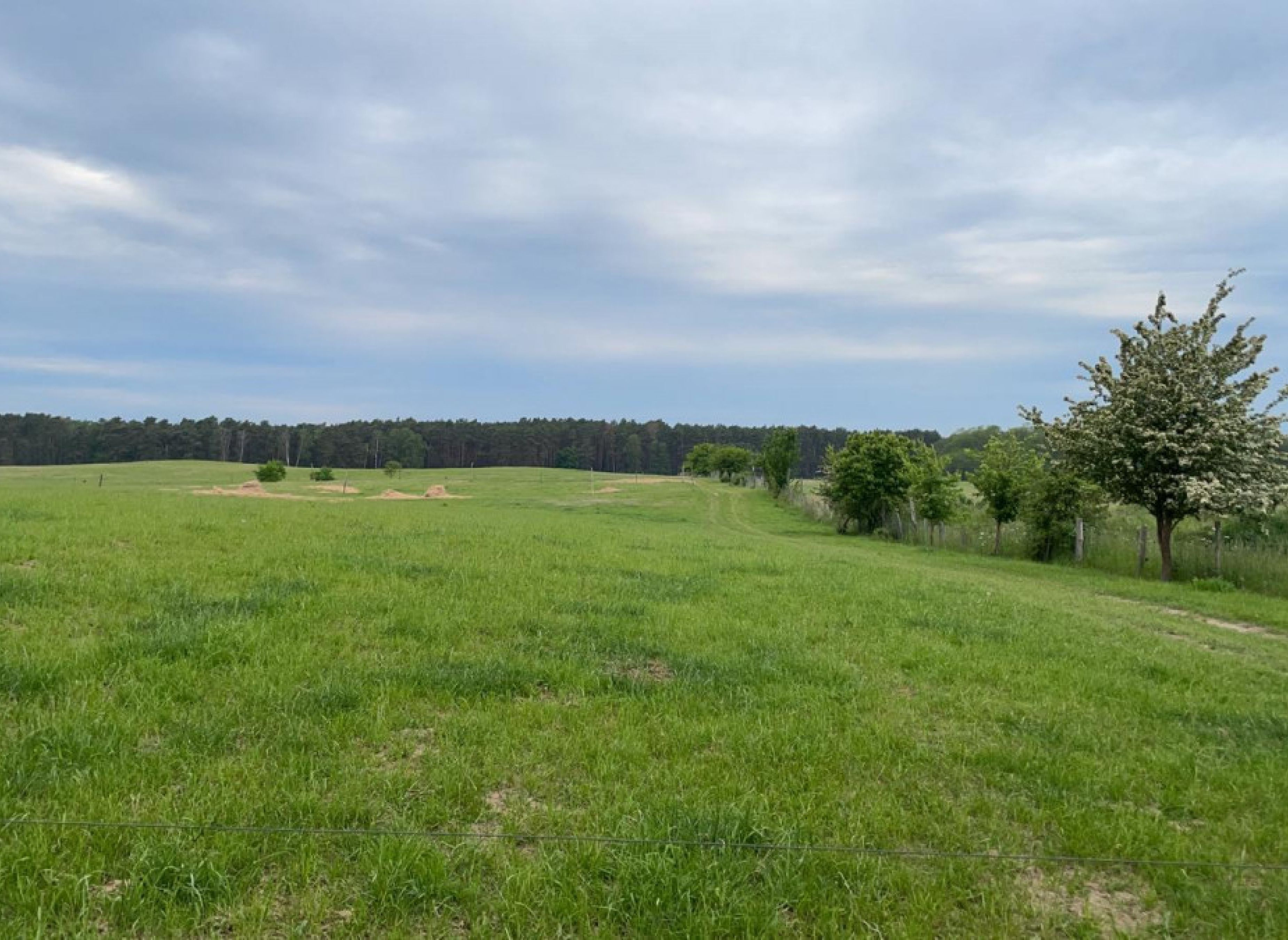 Naturpur mit Weitblick und Ruhe — Karavan Sitesi in Steinhöfel