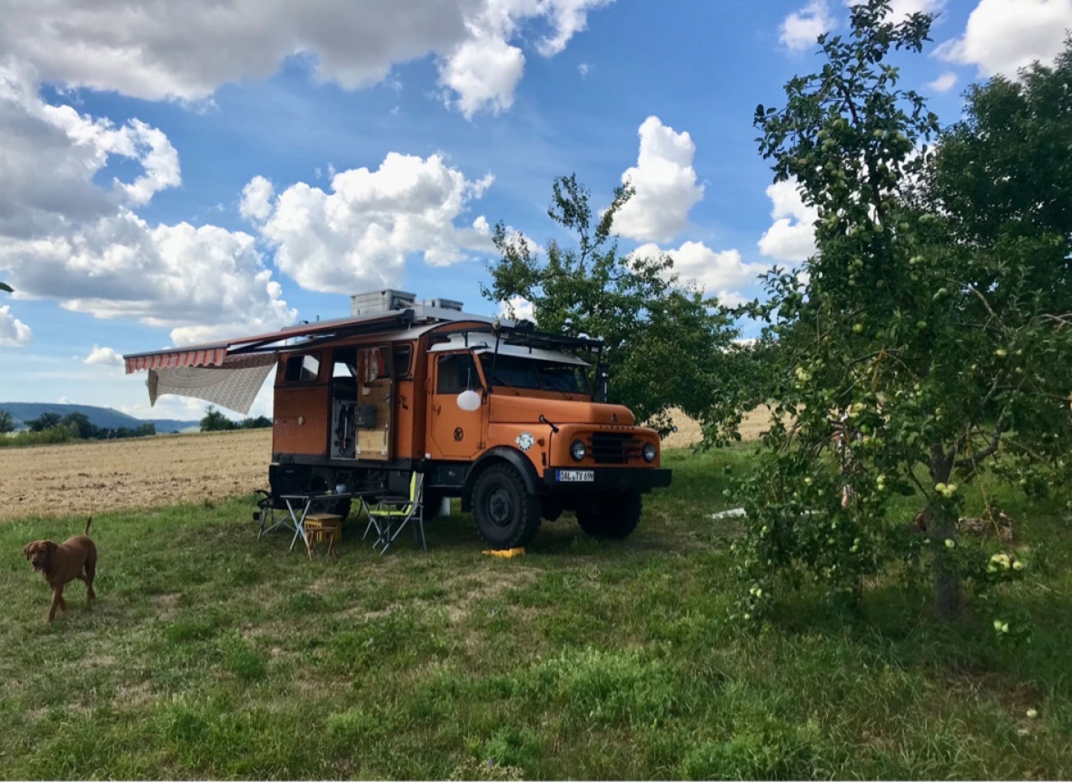 "Wild Campen" im Obstgarten mit 360°-Blick am UNESCO Geopark Ries — Karavan Sitesi in Nördlingen