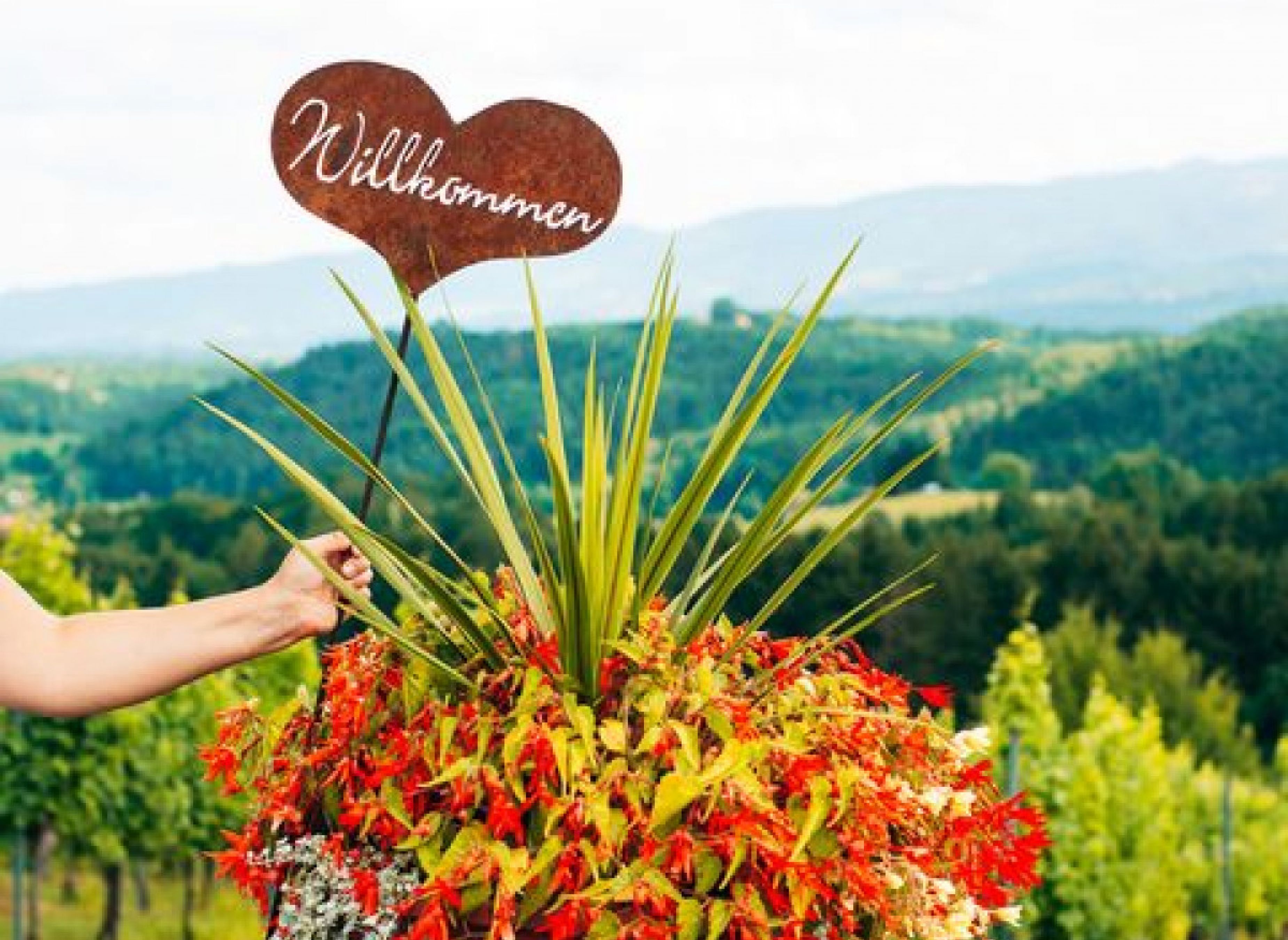 Weingut — Vineri in Wies