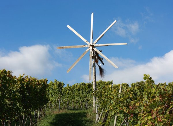 Weingut — Foto 3