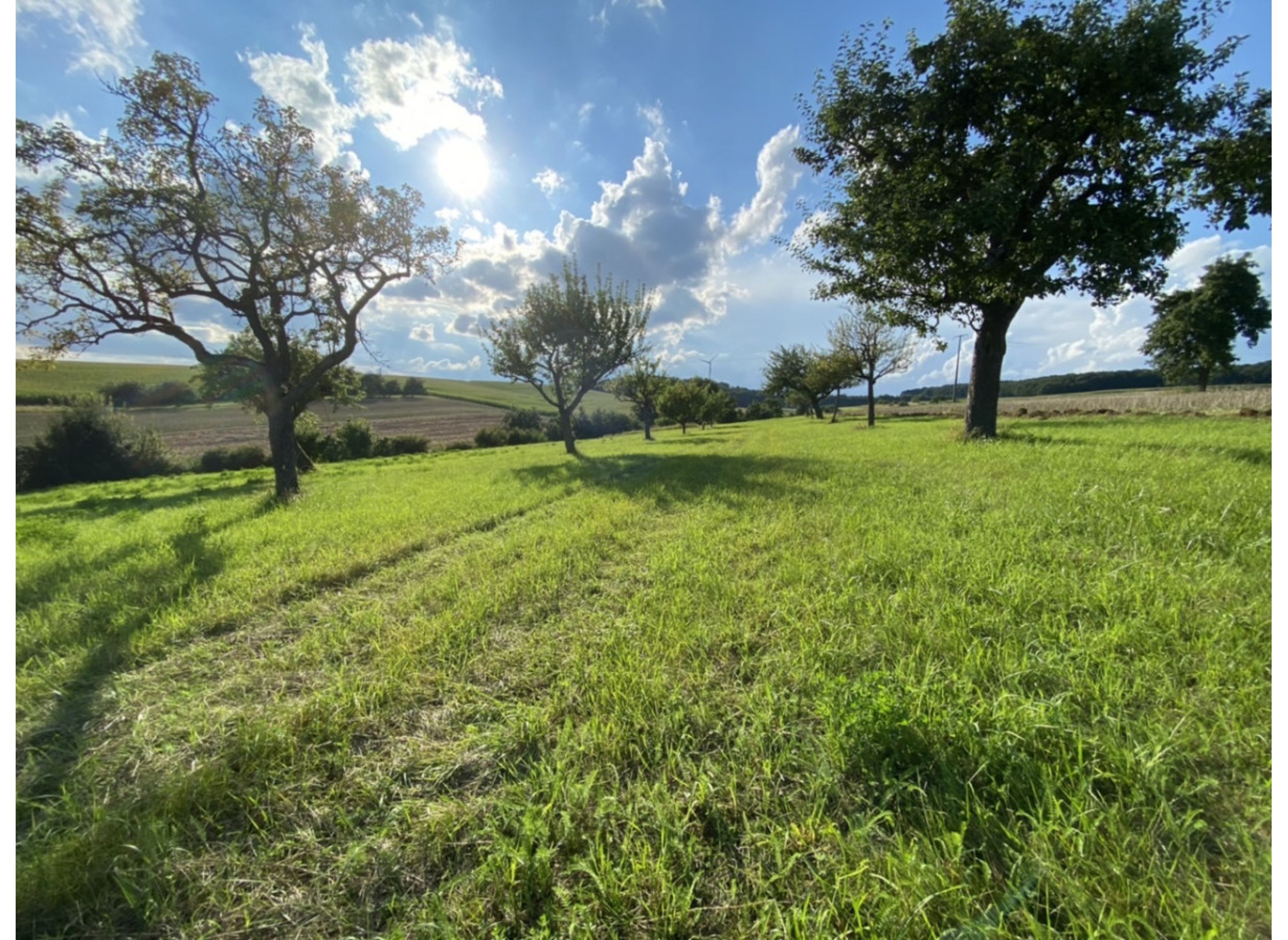 Träumen mitten im Grünen — 露营车营地 in Gädheim