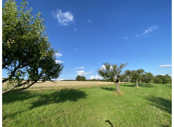 Träumen mitten im Grünen — Photo 2