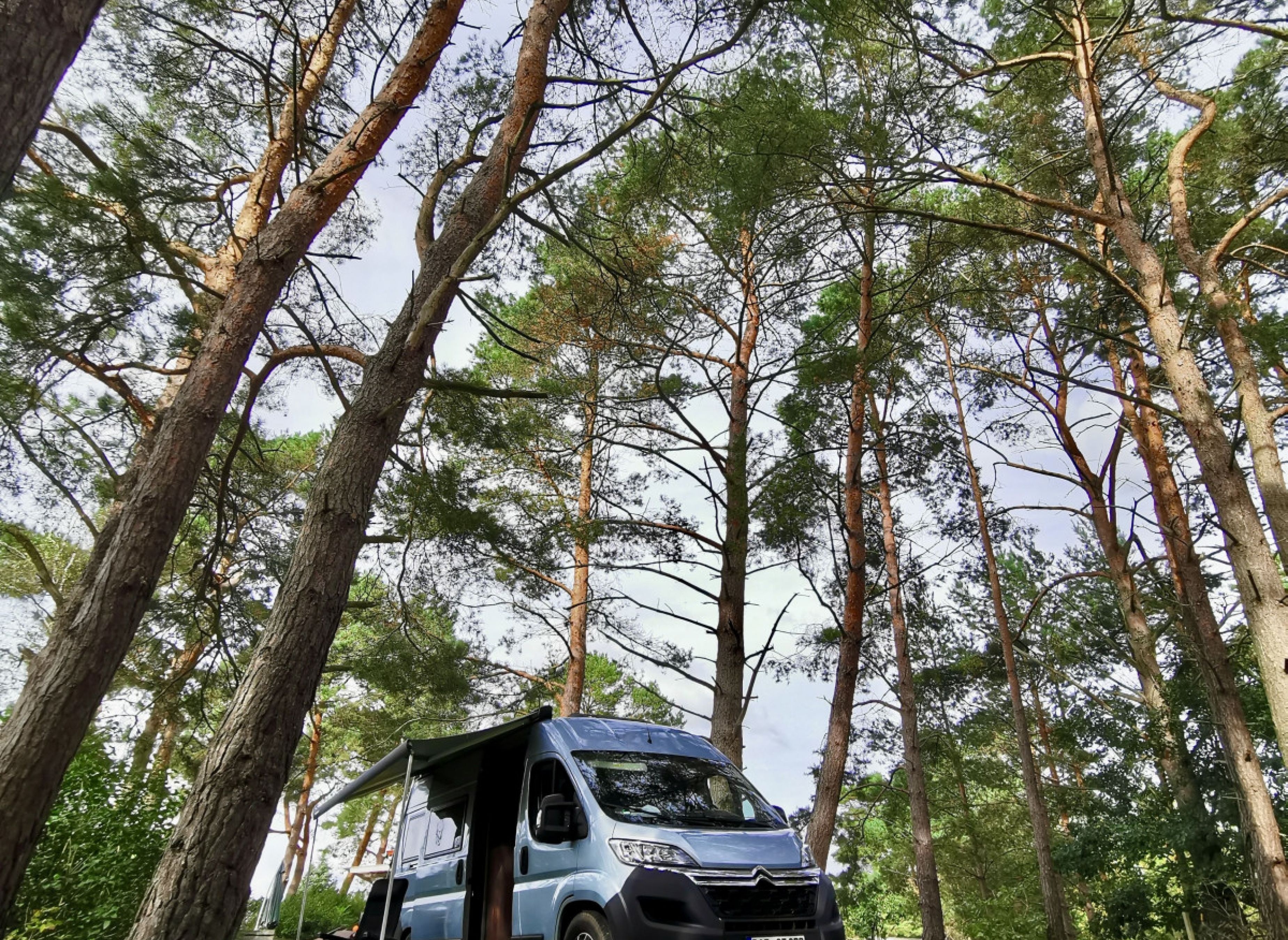 Klein Trebbow in Waldrandlage — Karavan Sitesi in Neustrelitz