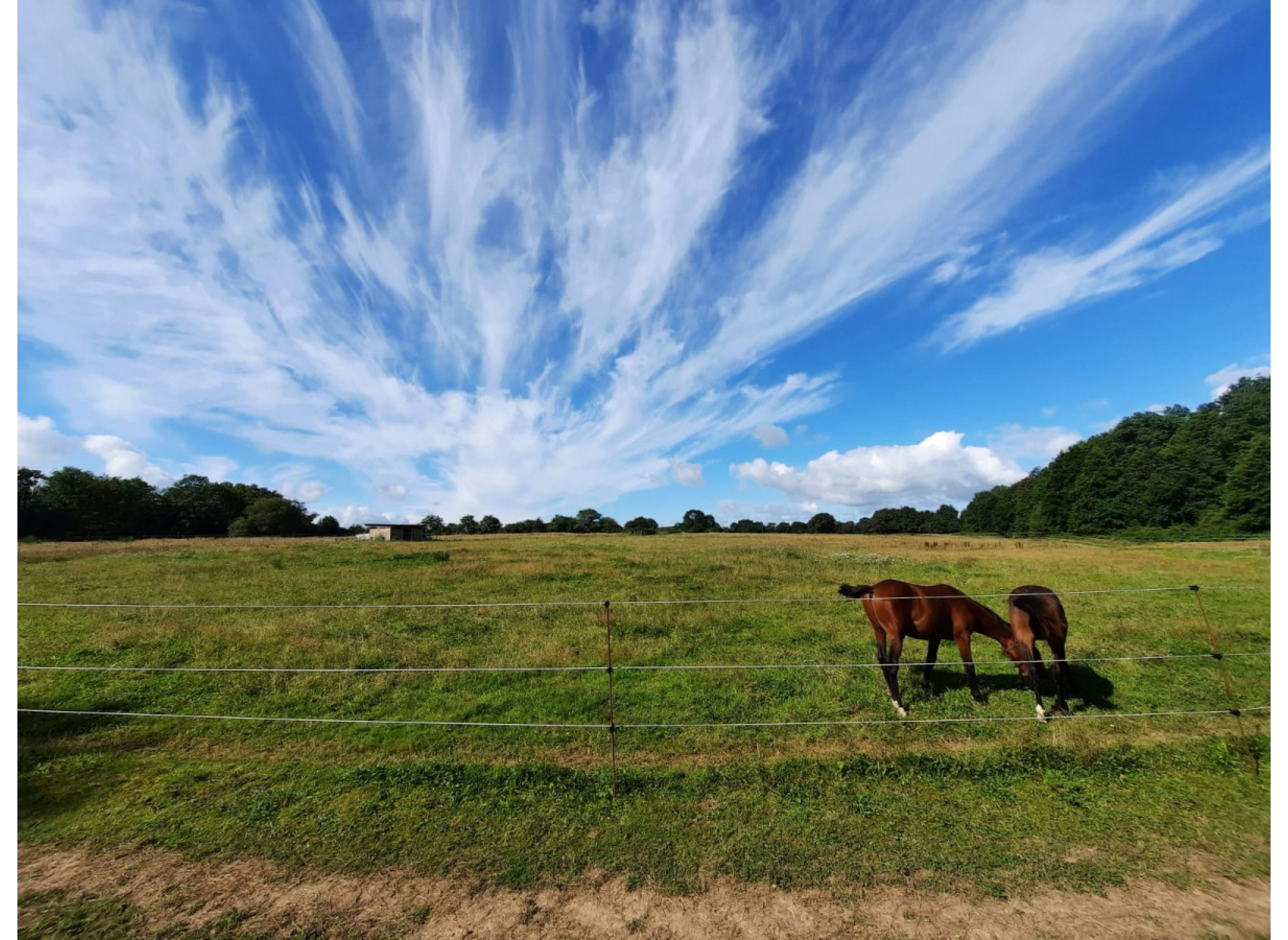 In der Bretagne in Frankreich — Bobilplass in Juigné-des-Moutiers