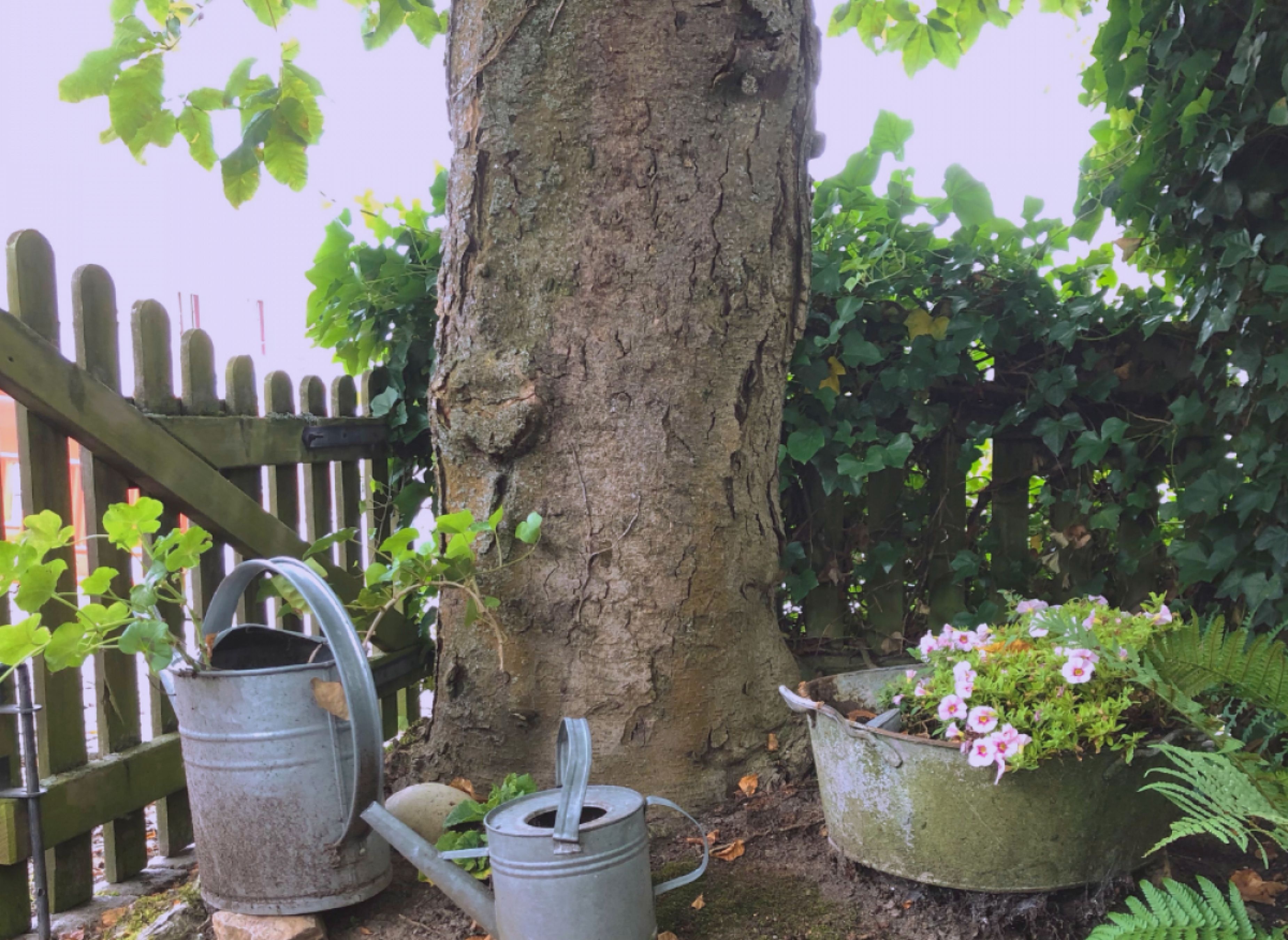 Alte Dorfschule - Unter dem Kastanienbaum — Campervan Site in Daxweiler
