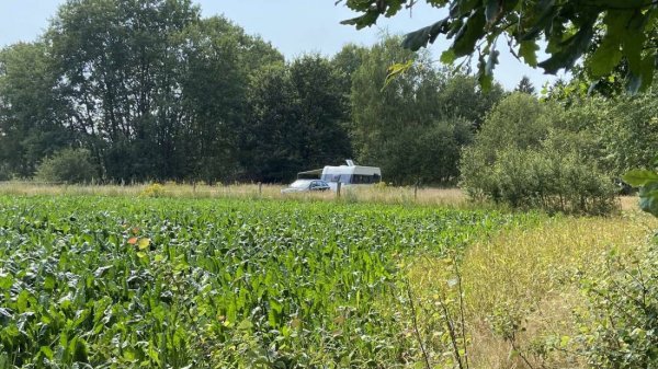 Stellplatz in der Wiese