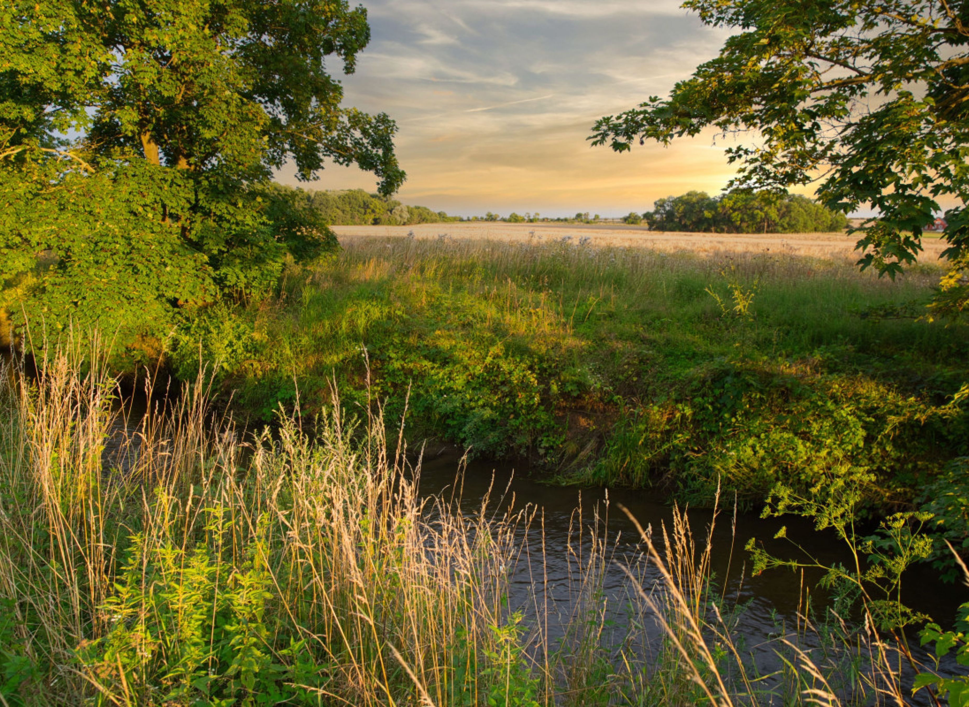 Ausspannen an der Wipper, Bio-Streuobstwiese — 露营车营地 in Ilberstedt