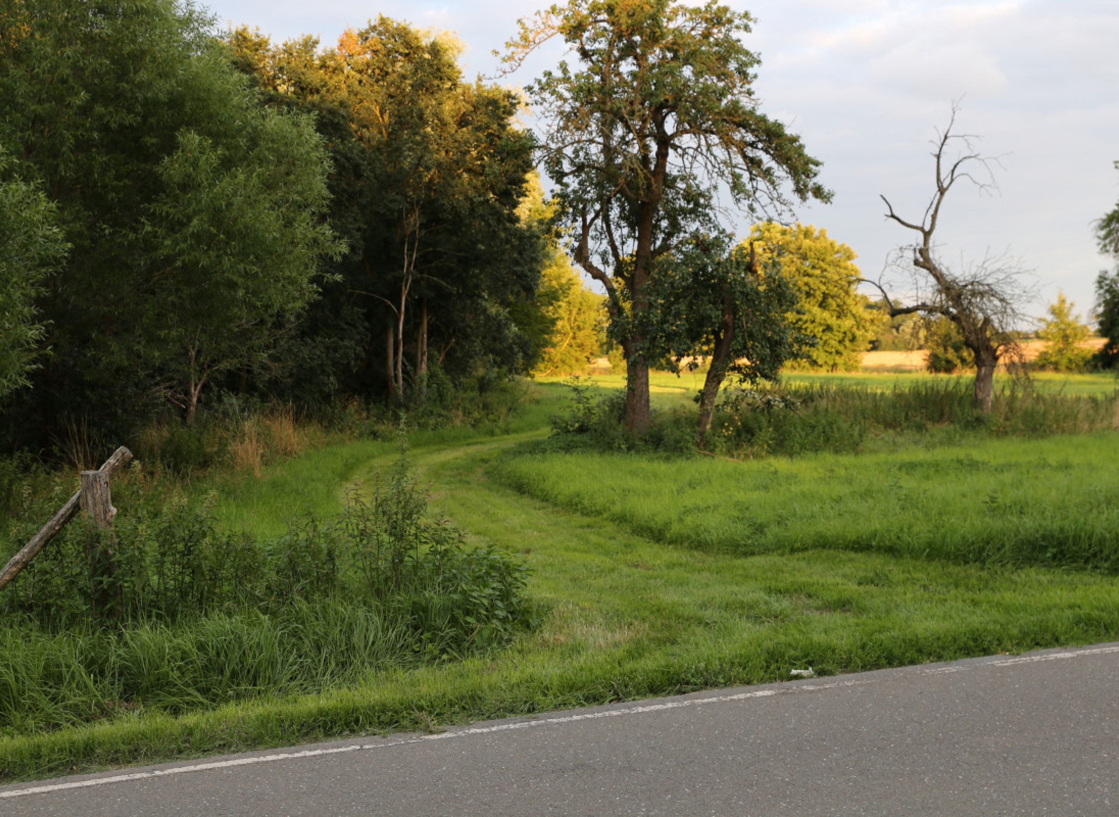 Ausspannen an der Wipper, Bio-Streuobstwiese — Sítio para autocaravanas in Ilberstedt