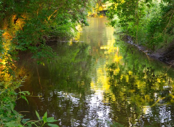 Ausspannen an der Wipper, Bio-Streuobstwiese — Photo 2