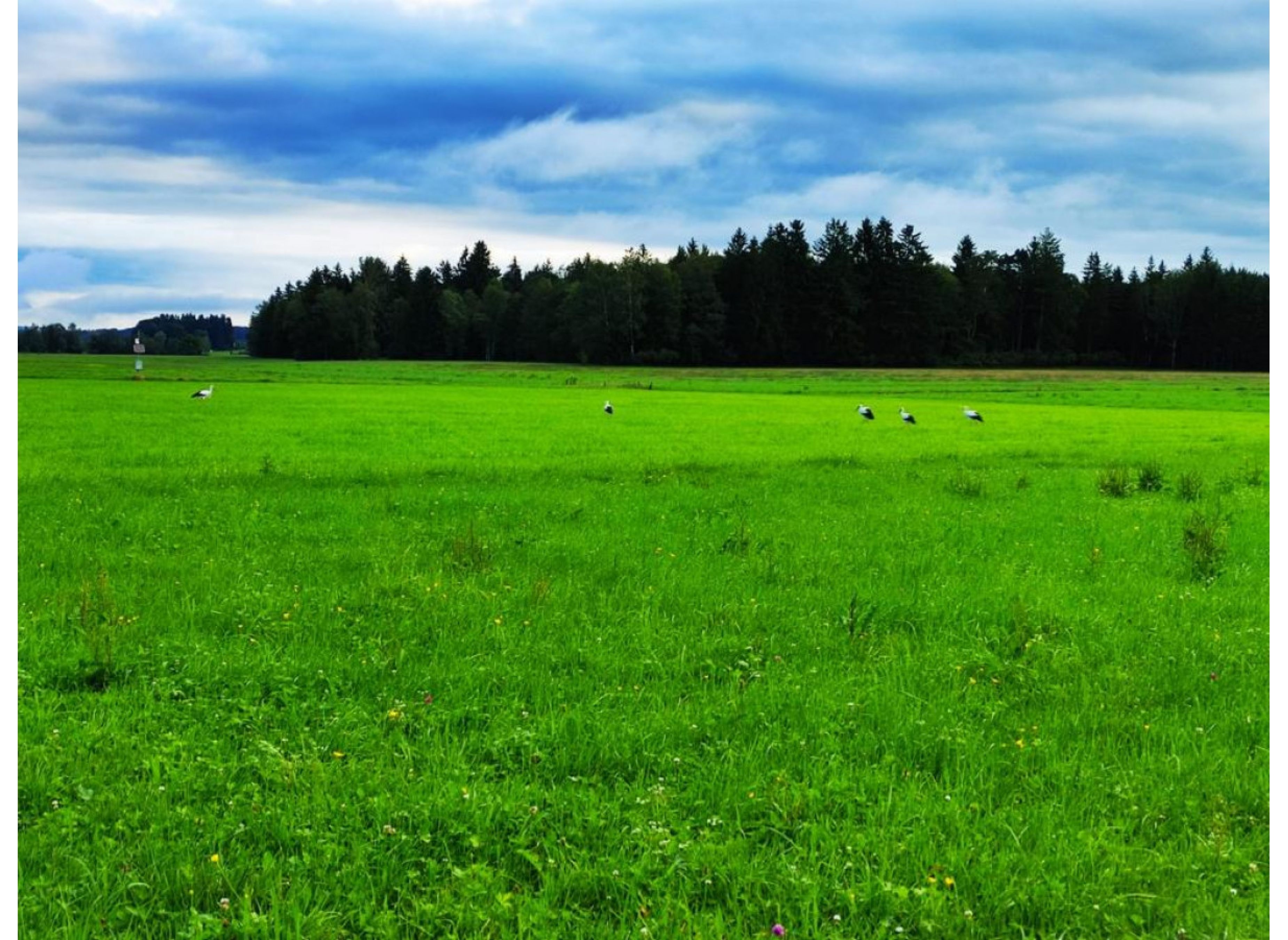 Entspannen in der Natur des Pfaffenwinkels — Sp. parking dla kamperów in Peißenberg