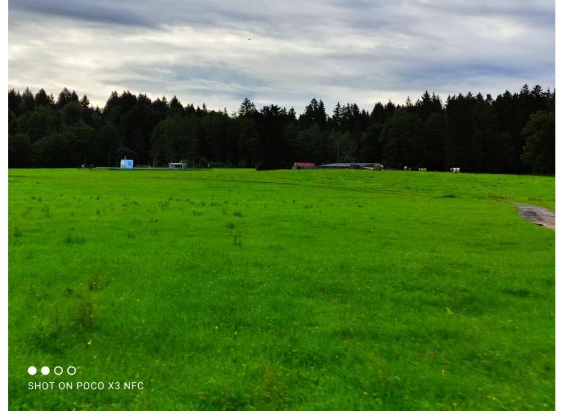 Entspannen in der Natur des Pfaffenwinkels — Camperplads in Peißenberg
