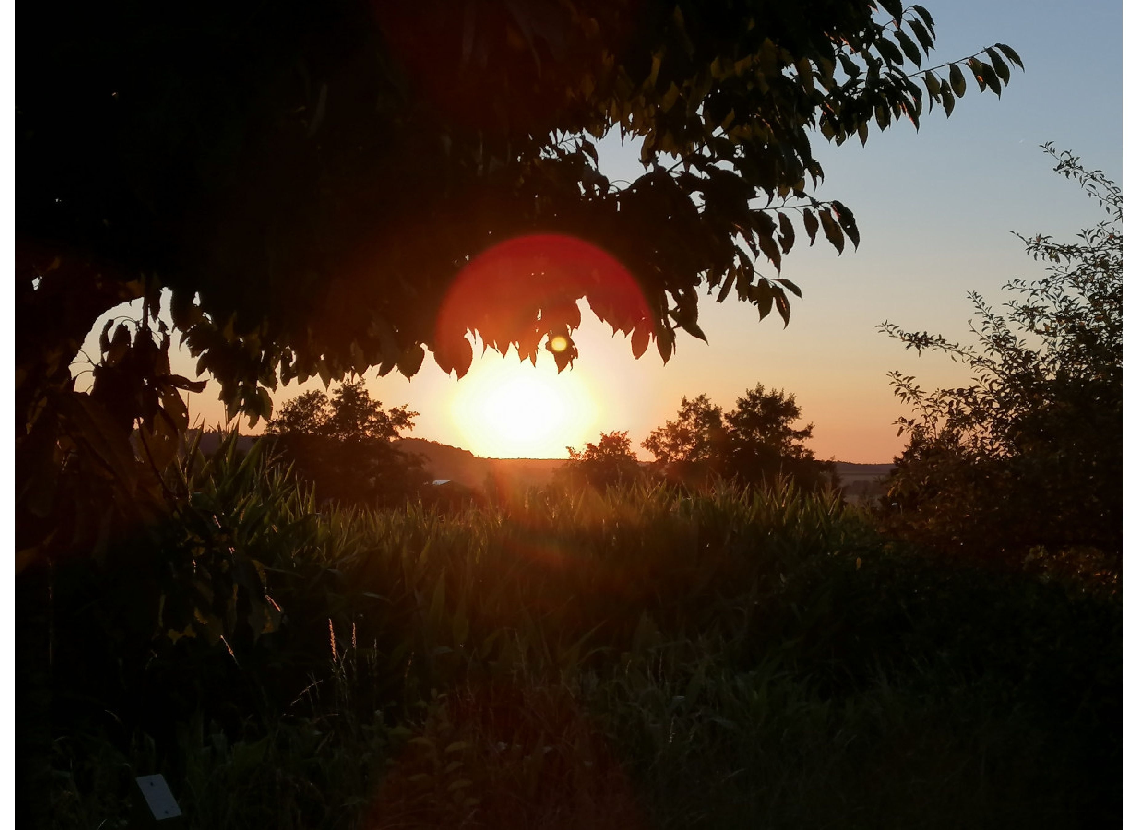 Himmlische Träume mit Weinpanorama #2 — 露营车营地 in Donnersdorf