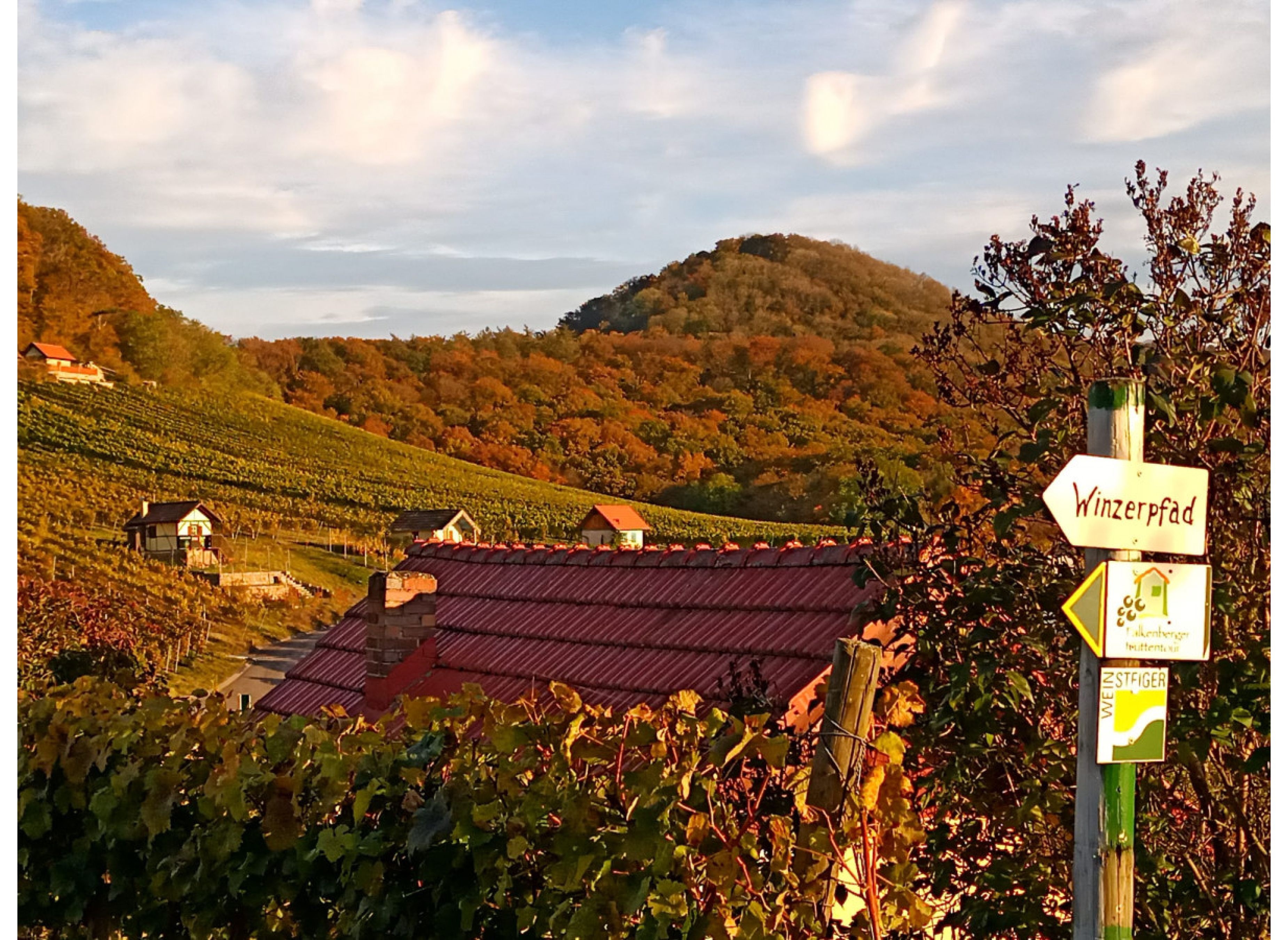 Himmlische Träume mit Weinpanorama #2 — Karavan Sitesi in Donnersdorf