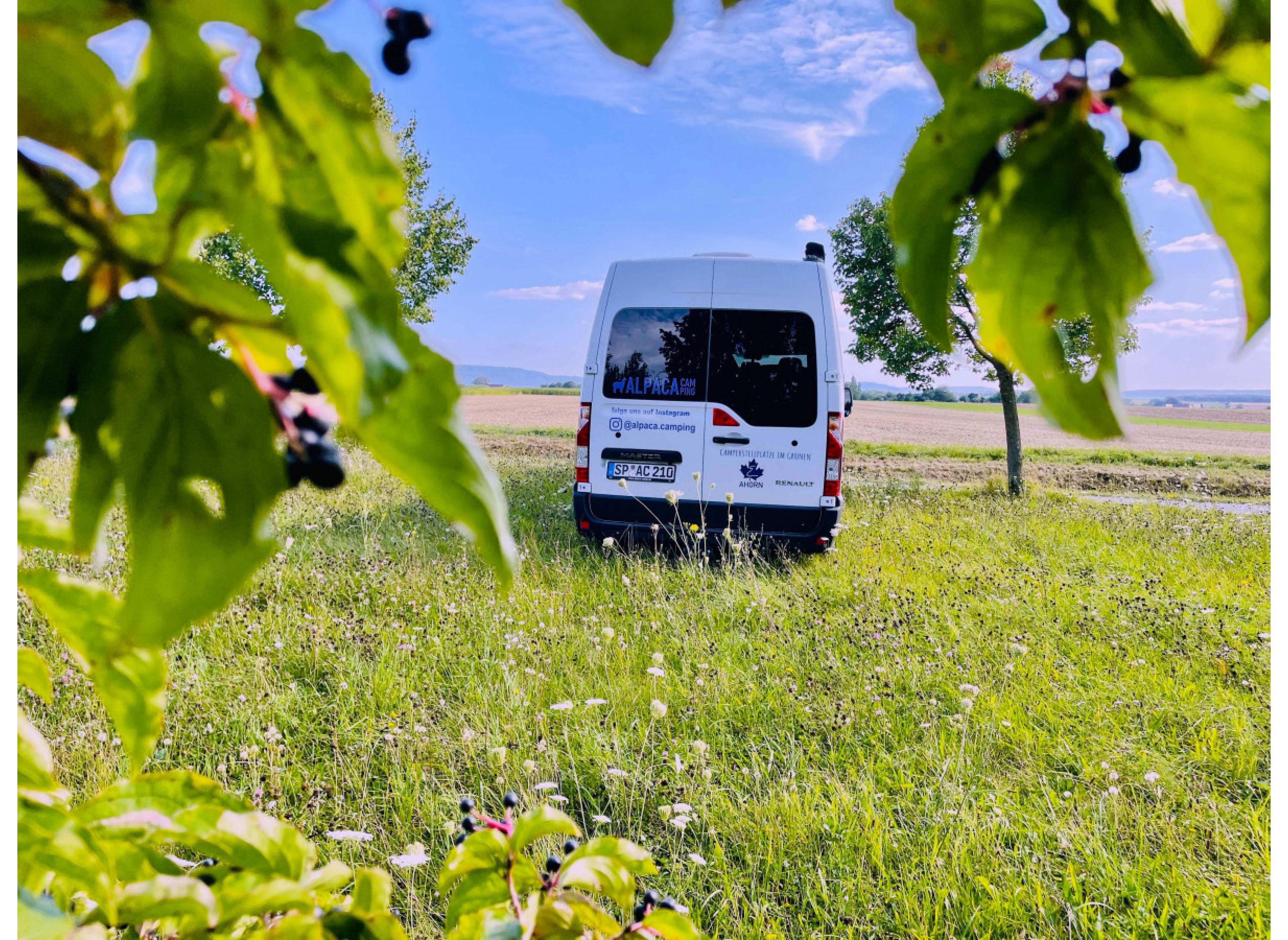 Camping am Feld in Wiebelsberg — Stellplatz in Oberschwarzach