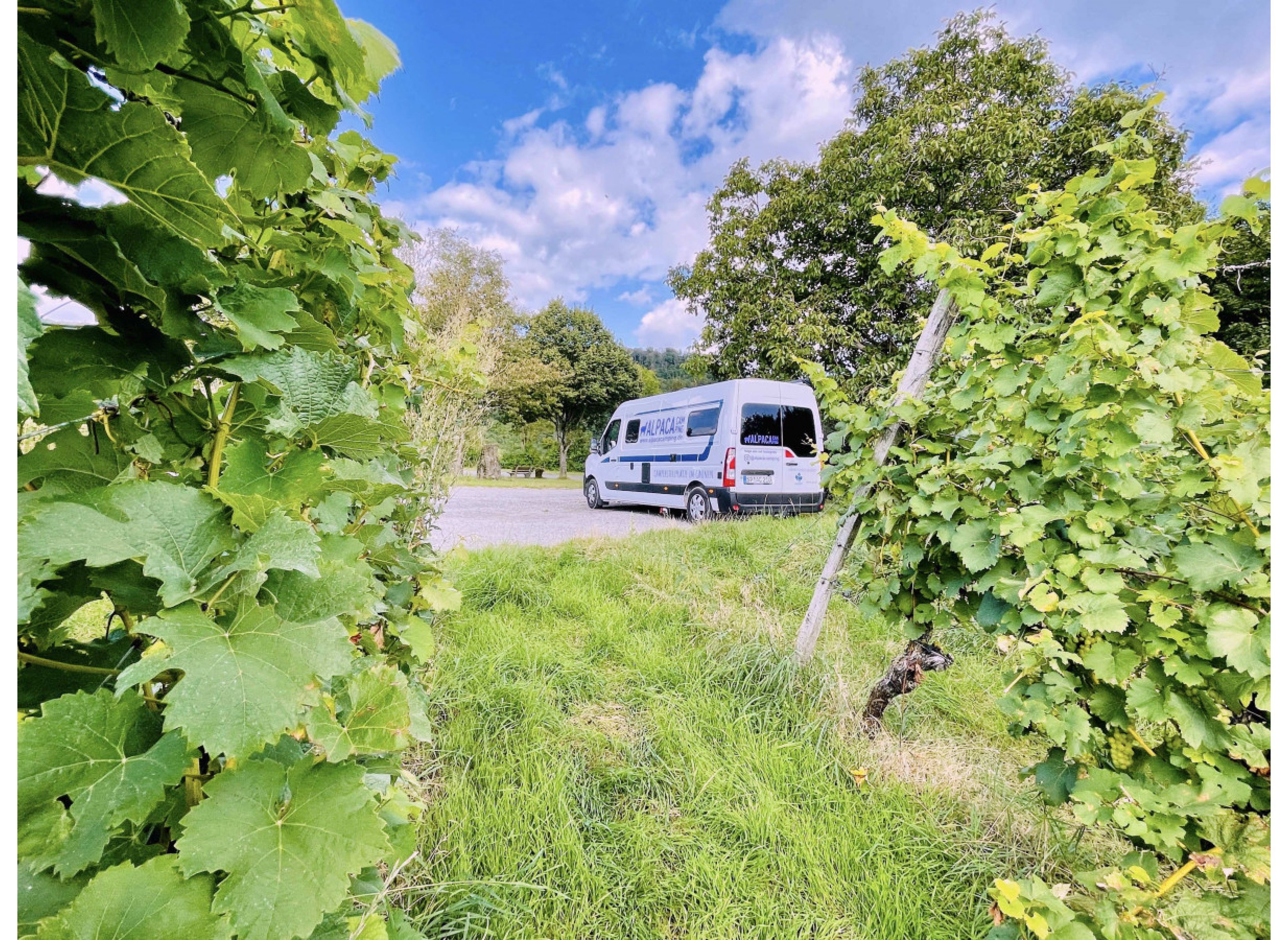 Panoramablick zur Stollburg - max. 2 Nächte — Vinícola in Oberschwarzach