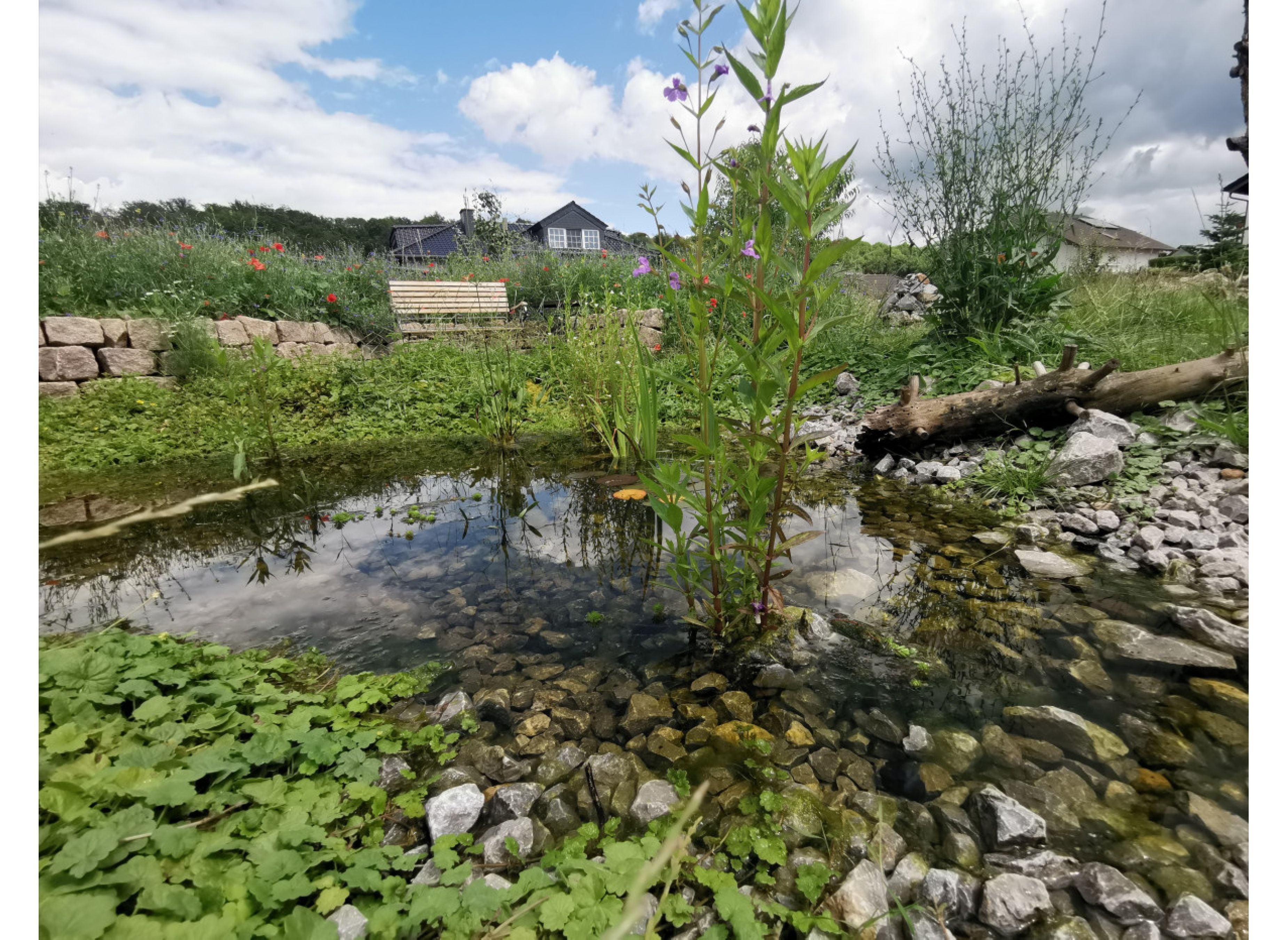 camping im naturgarten westerwald — Stellplatz in Beselich