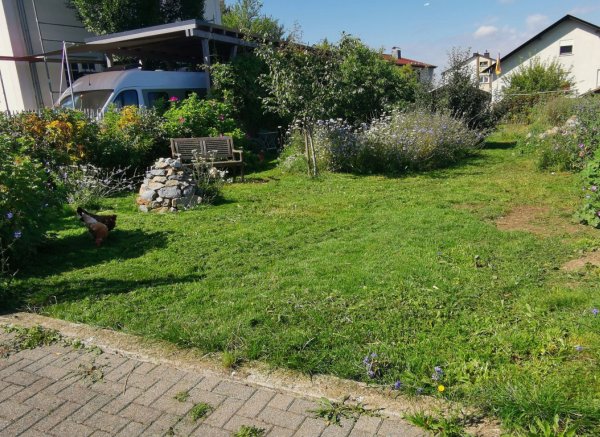 camping im naturgarten westerwald — Foto 3