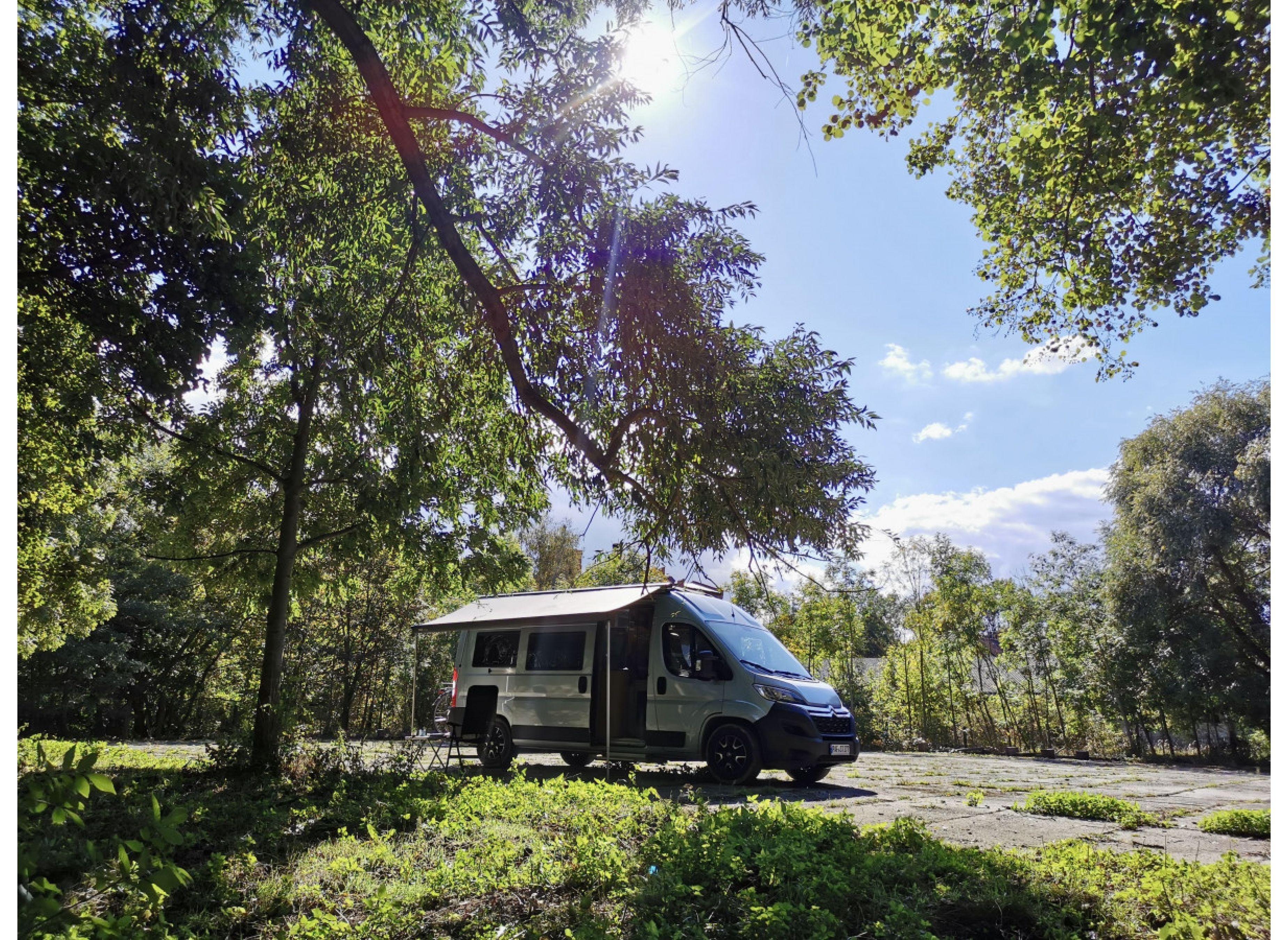 An der Koppel zwischen Bäumen — Camperplads in Quedlinburg