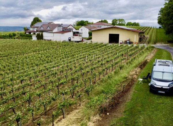 Weingut Kurz-Wagner — Foto 4