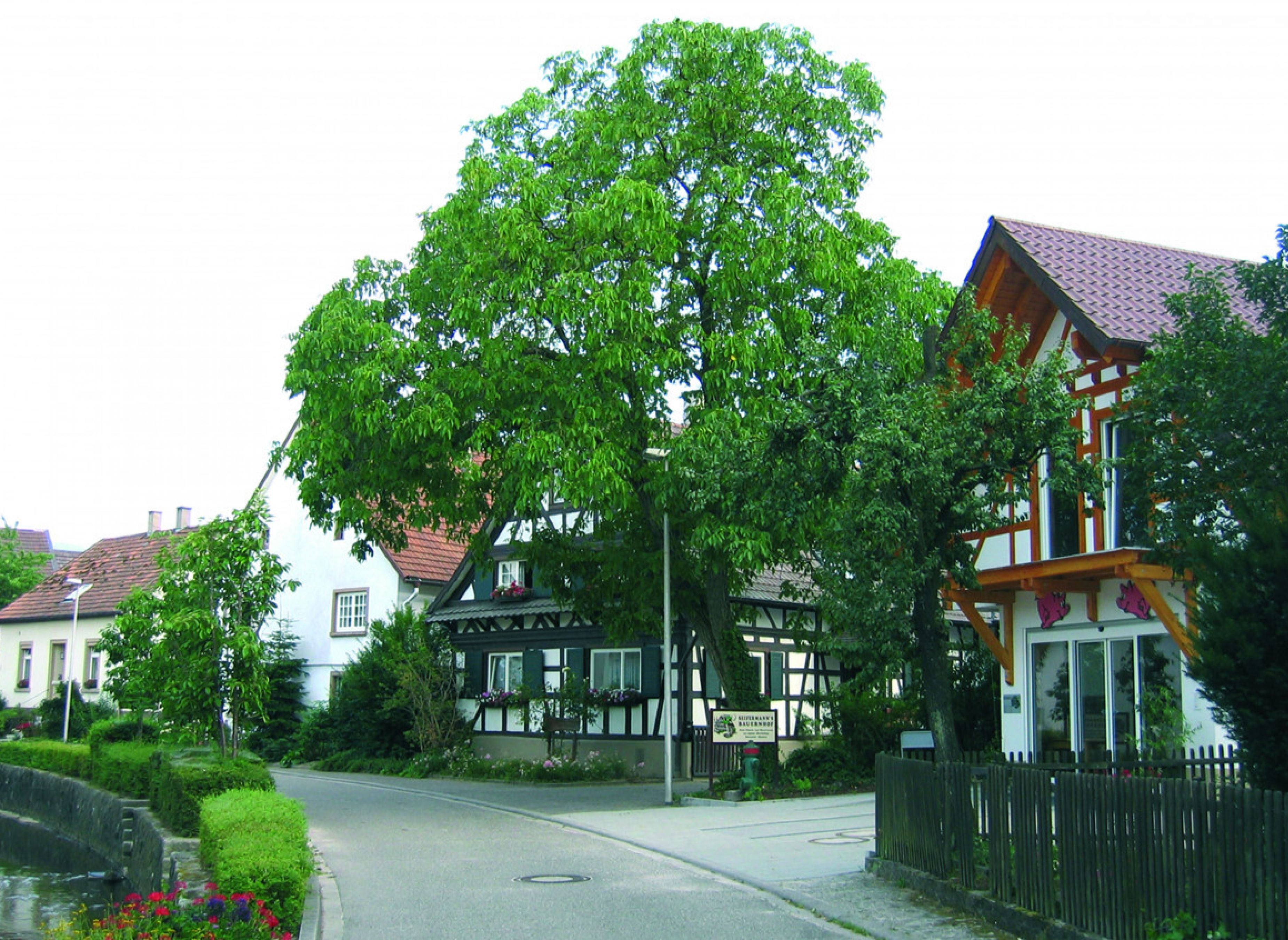 Einzelstellplatz " Am Aussichtsturm" — Ställplats in Bühl