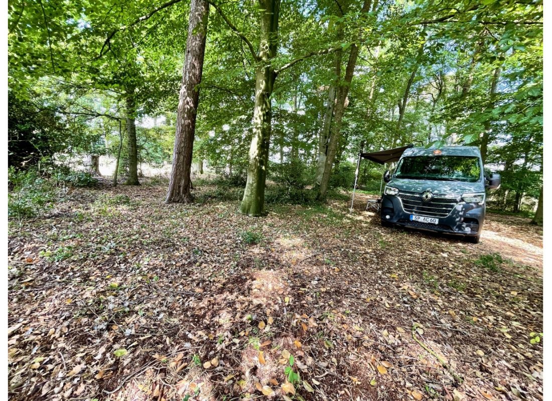 Einzelstellplatz an der Rinderwiese — Aire camping car in Telgte